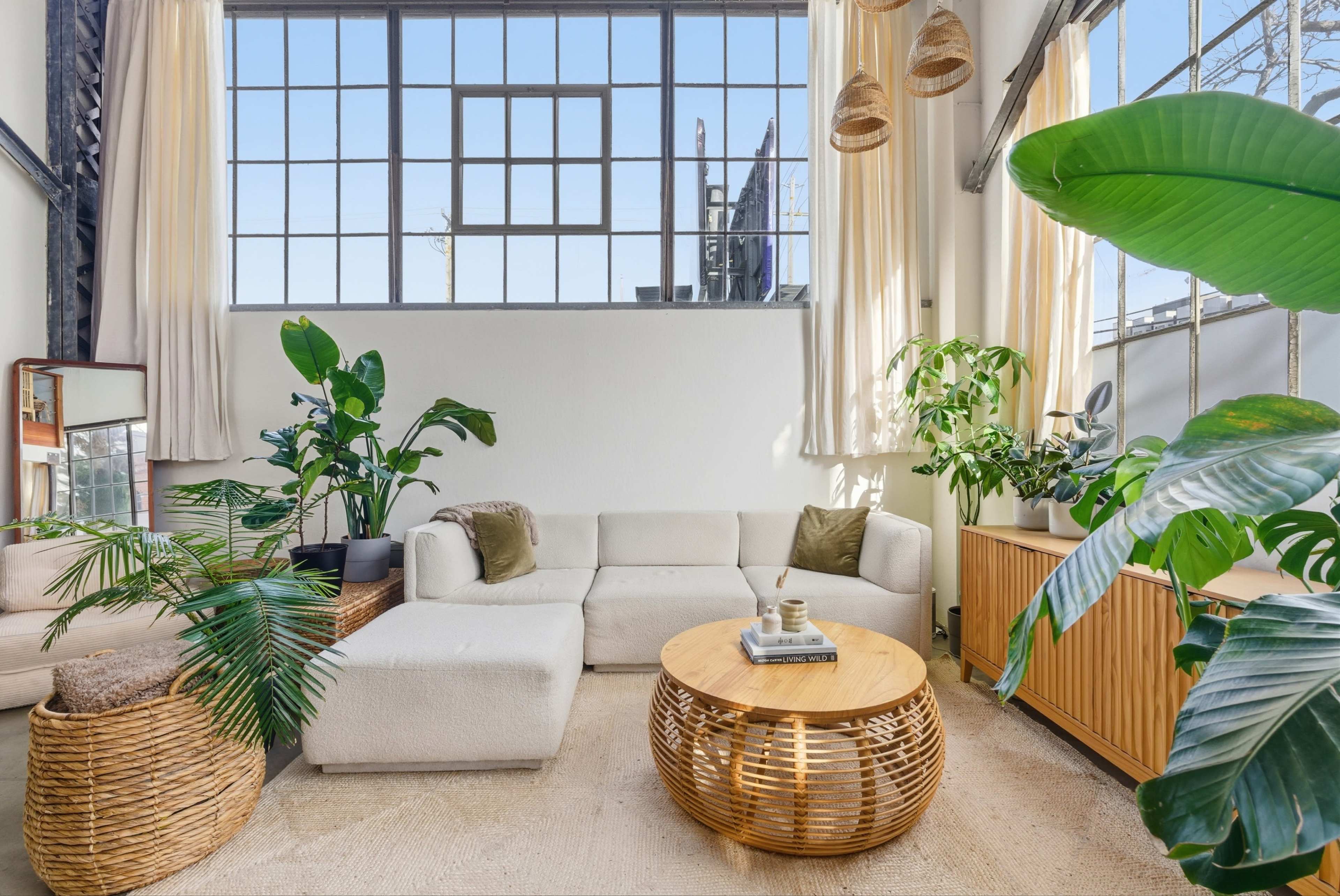 The image shows a brightly lit living room featuring a white sofa, a round wooden coffee table, various indoor plants, and large windows with curtains.