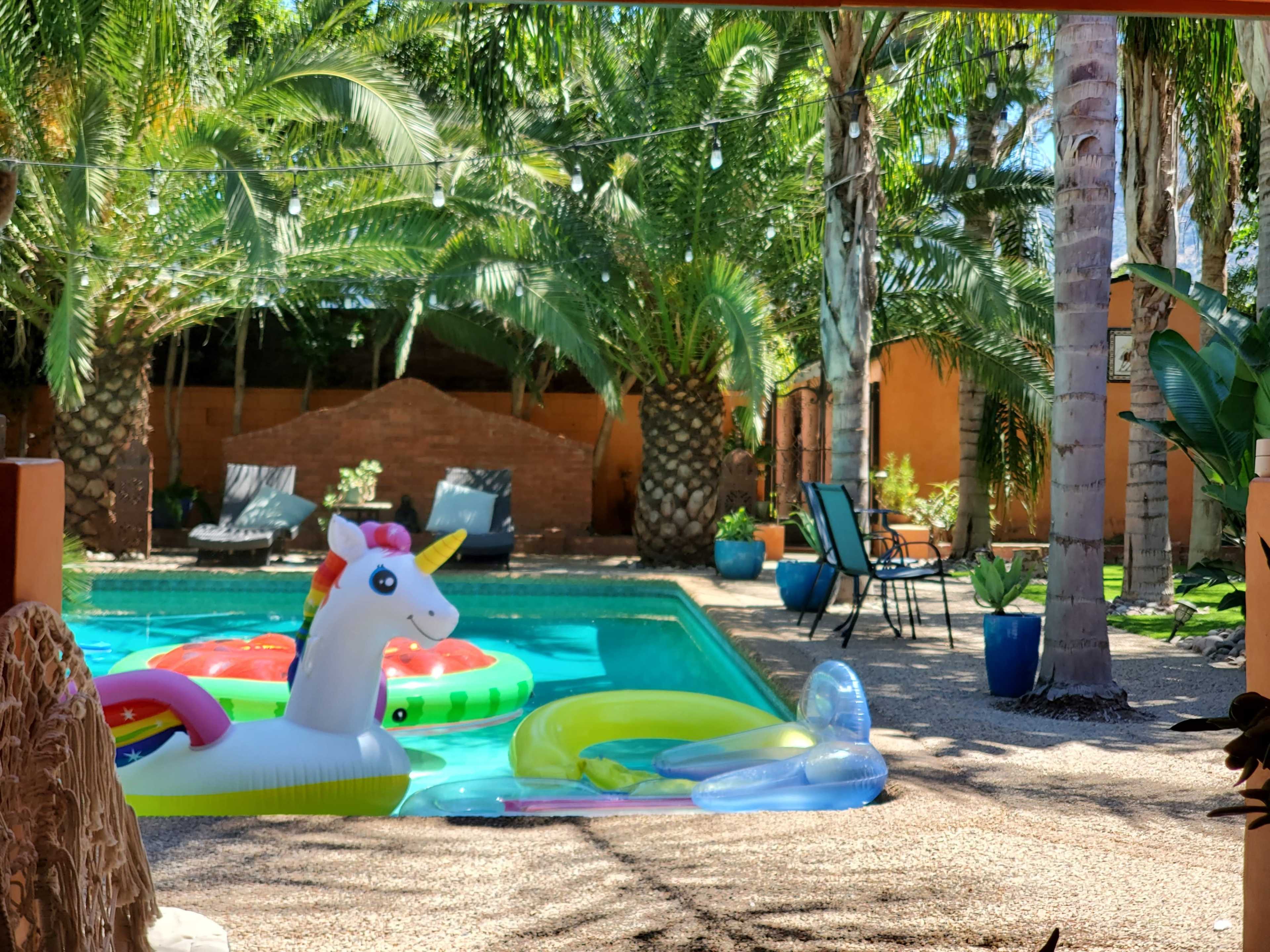 A colorful assortment of pool floats, including a unicorn and a lounge chair, surrounds a swimming pool set in a tropical garden with palm trees.