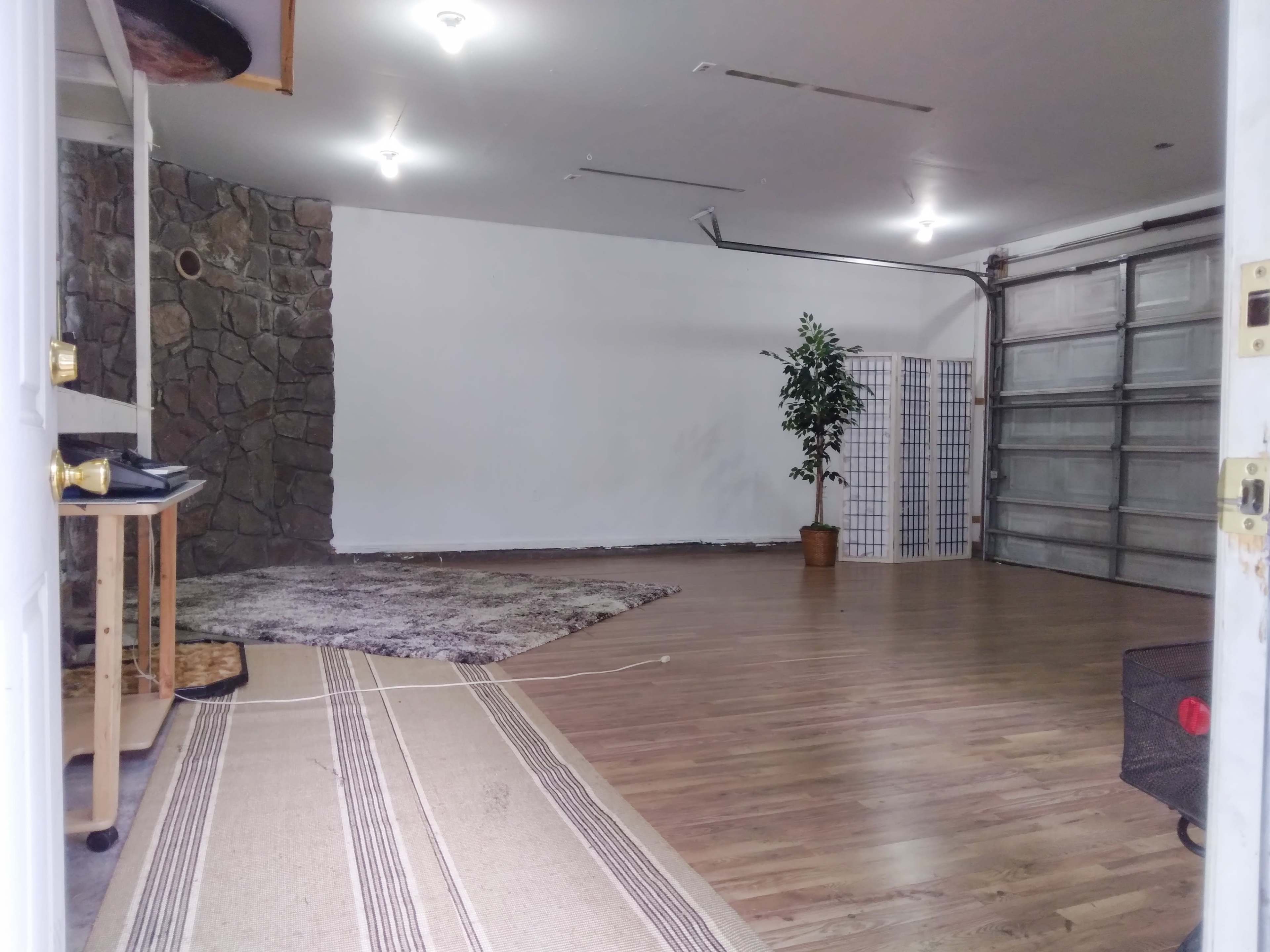 An empty garage space with a stone wall, a potted plant in the corner, and a rolling metal door partially visible.