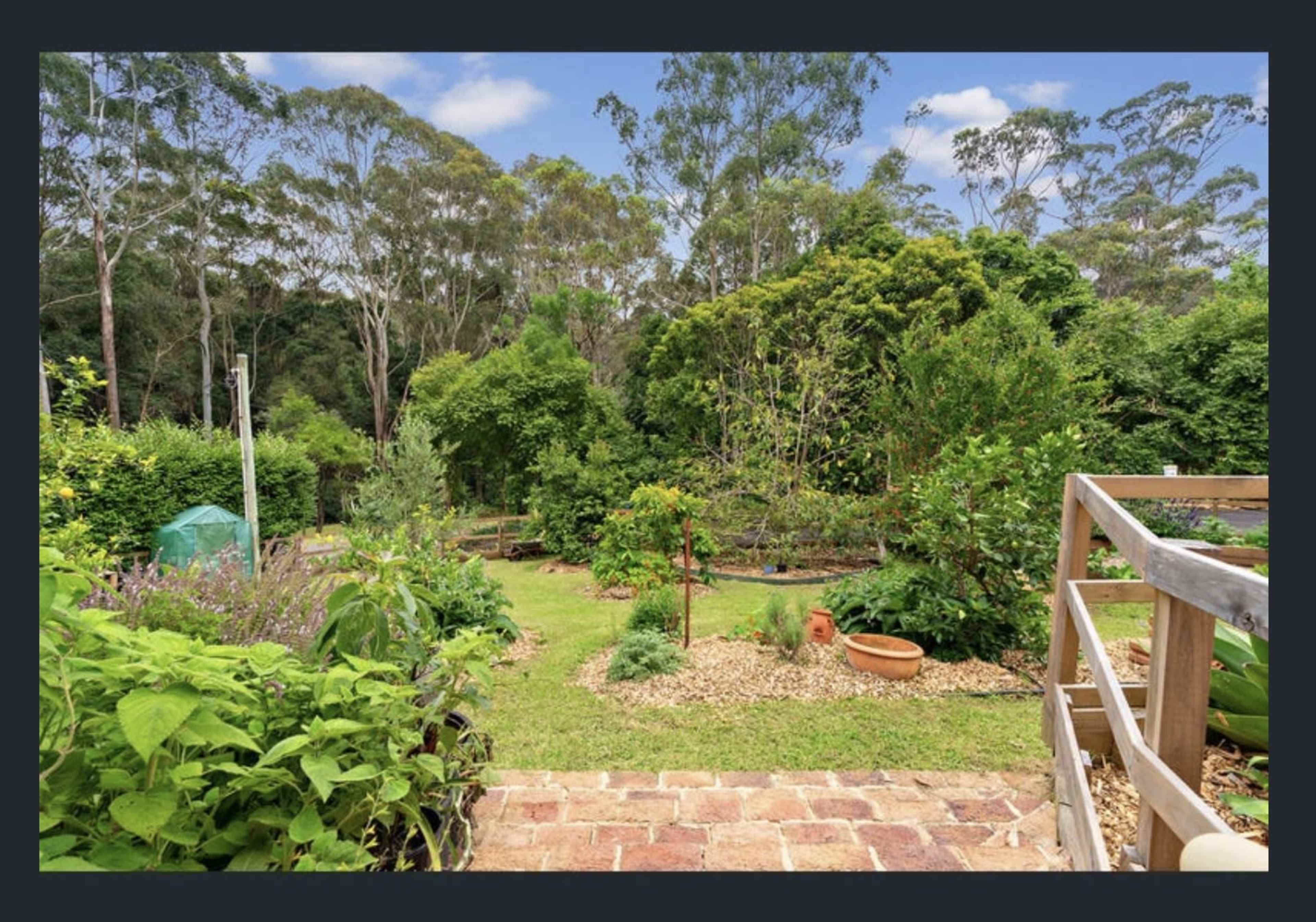 A lush garden with various plants and trees, surrounded by a dense forest under a clear sky.