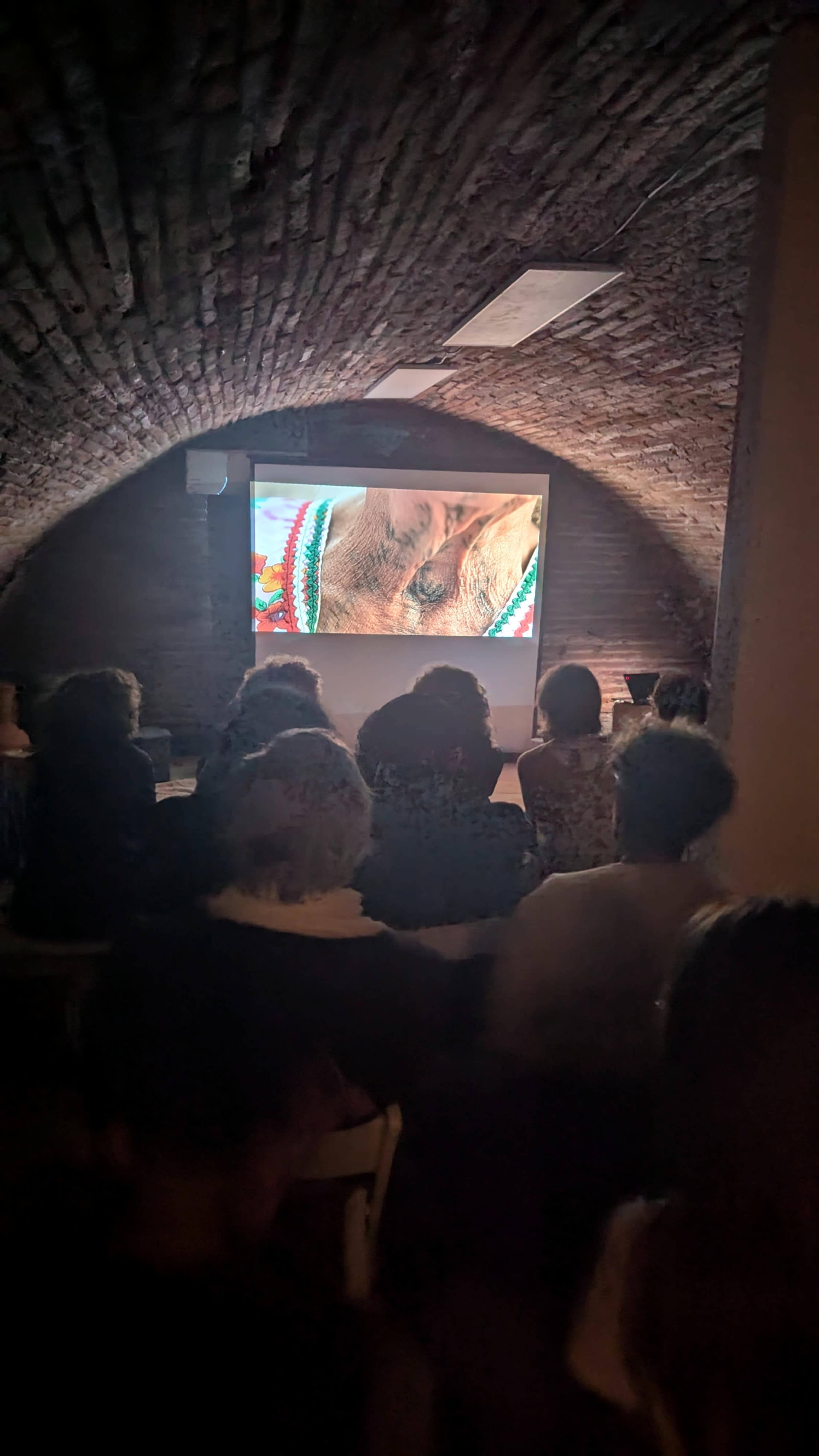 A group of people is seated in a dimly lit room, watching a large screen that displays a close-up image of an animal's face.
