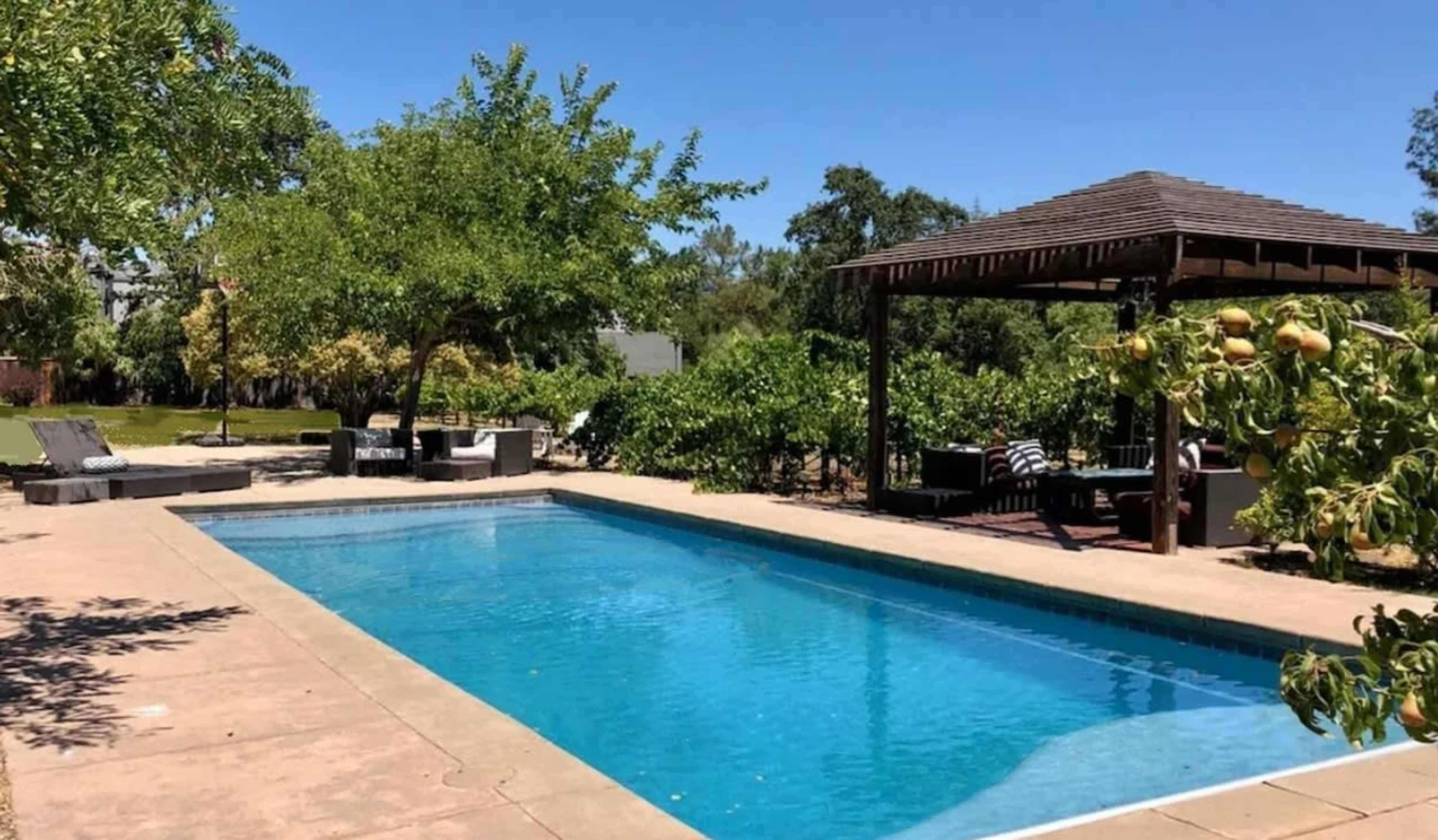 A rectangular swimming pool surrounded by trees and a pergola in a garden setting.