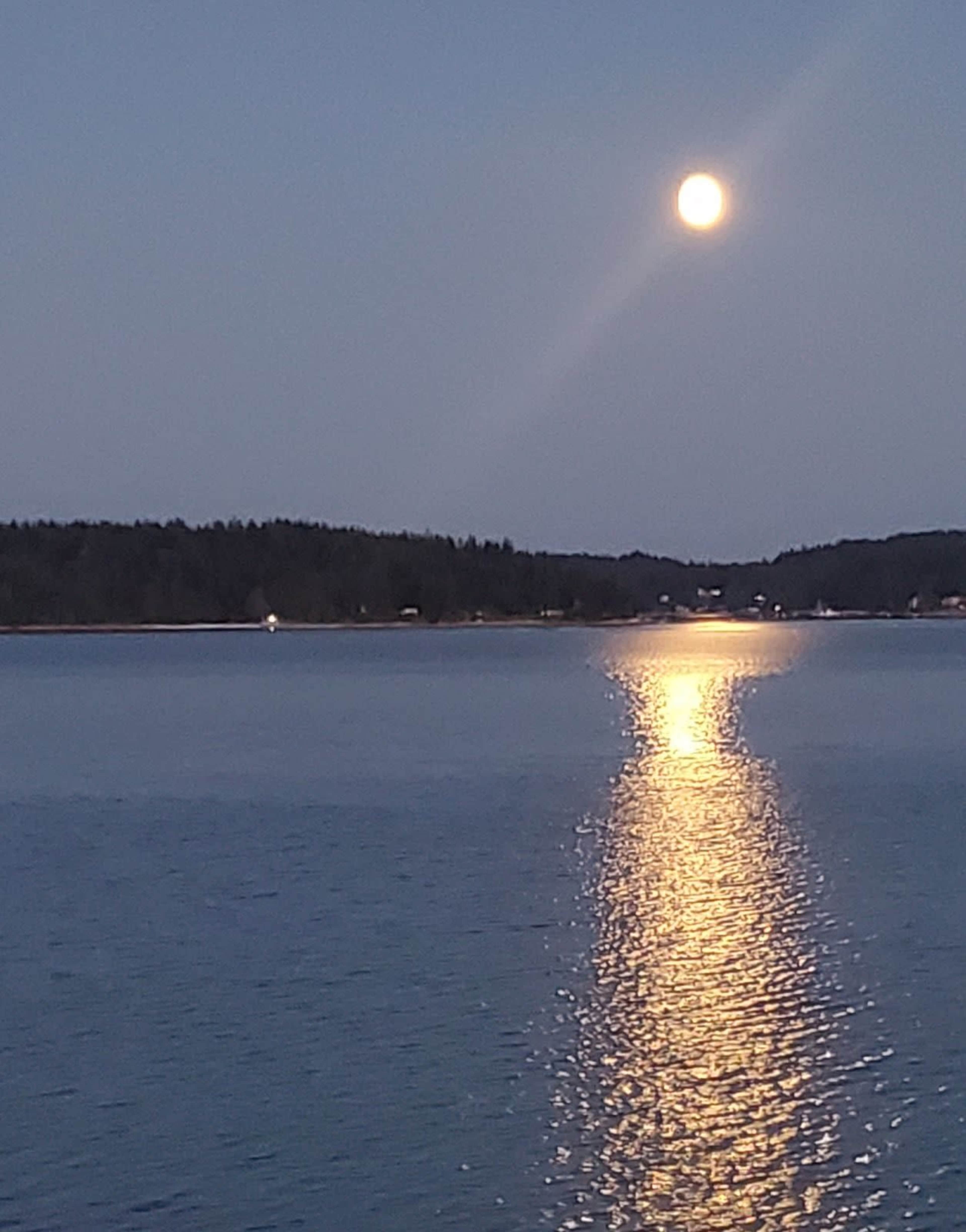 A bright moon reflects its light across a calm body of water during twilight.
