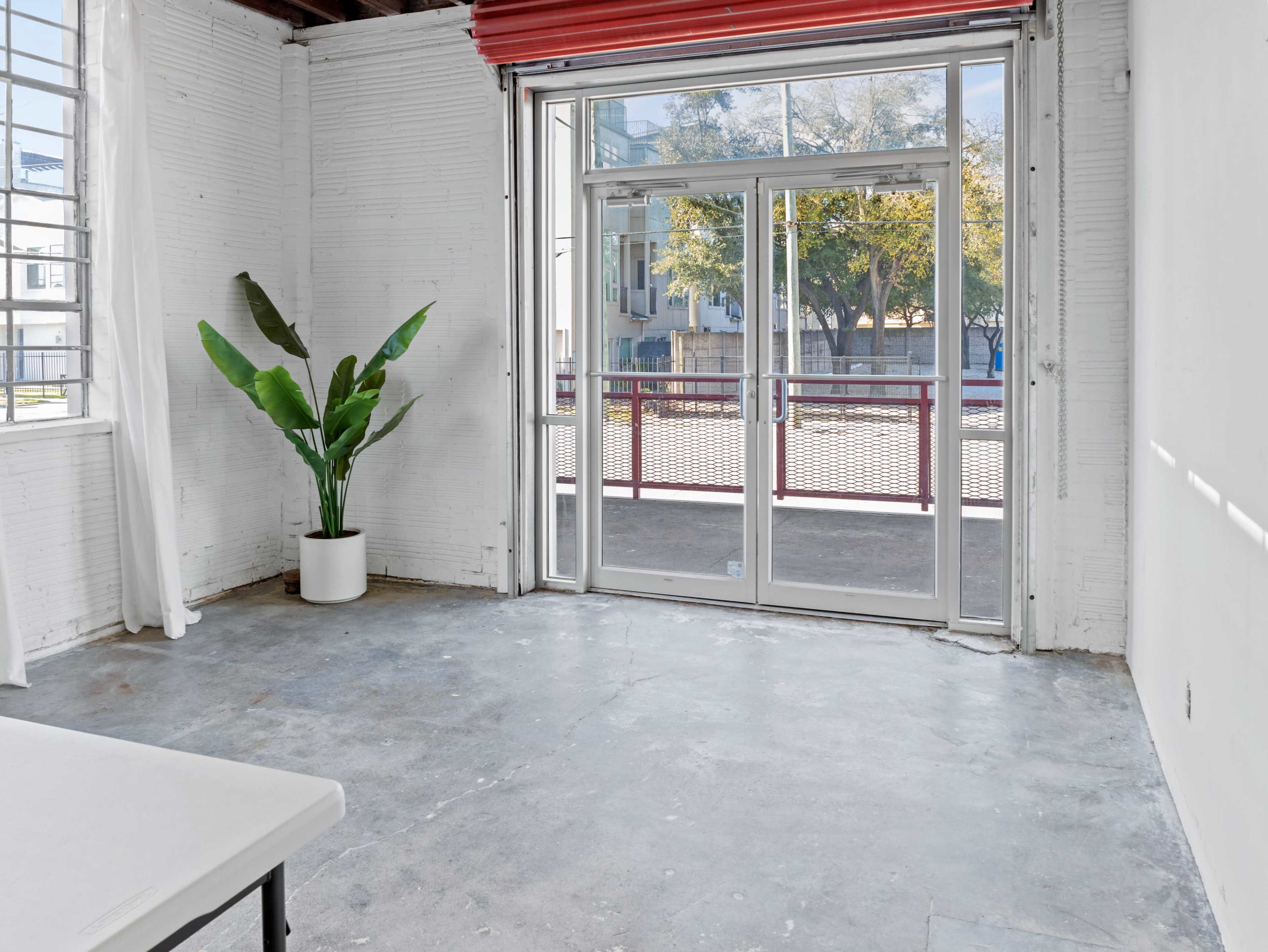 A spacious, empty room with a concrete floor, large windows, and a door leading to an outdoor area, along with a potted plant in one corner.