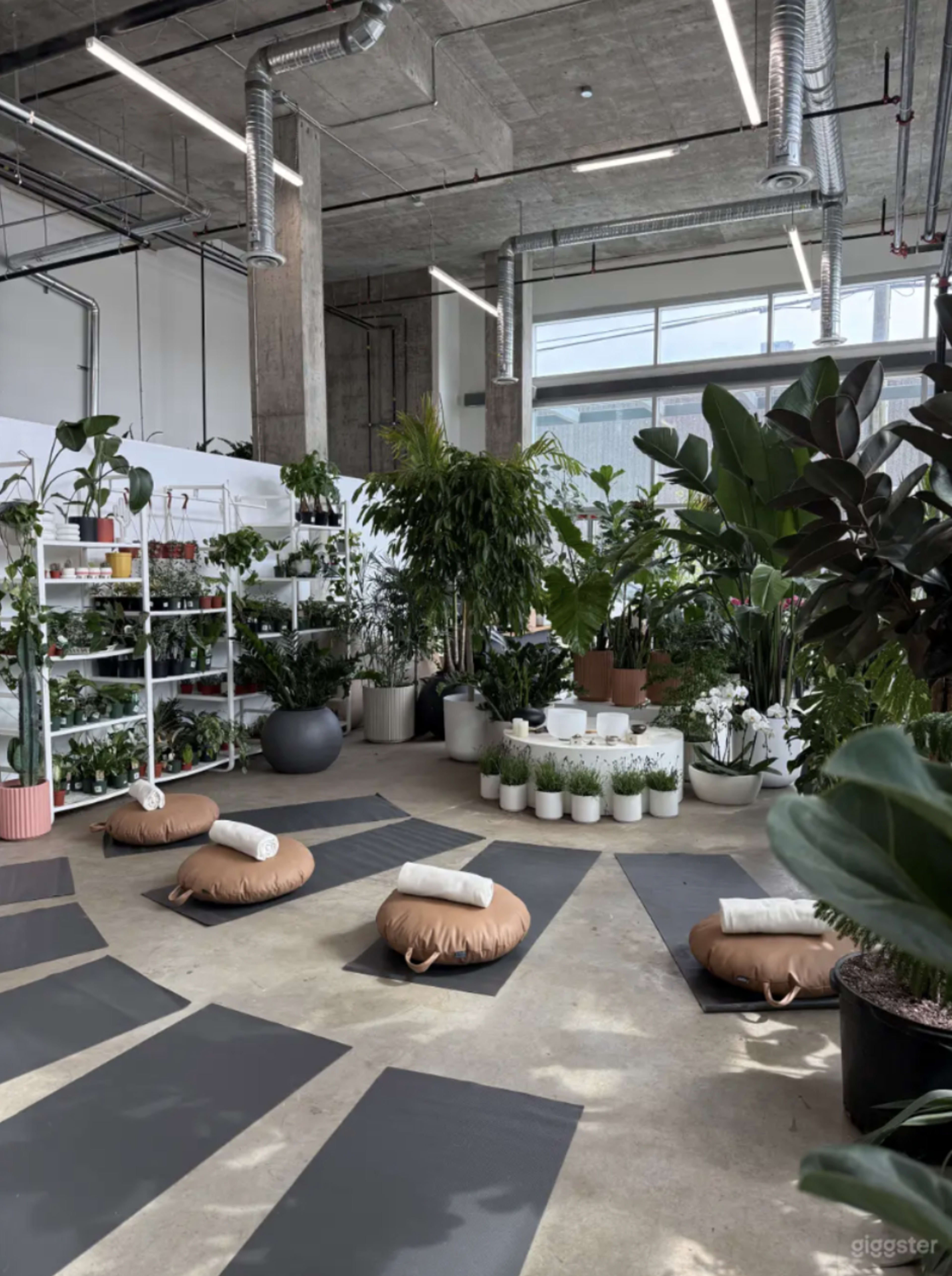 The image shows a yoga studio with yoga mats, meditation cushions, and a variety of indoor plants arranged around the space.