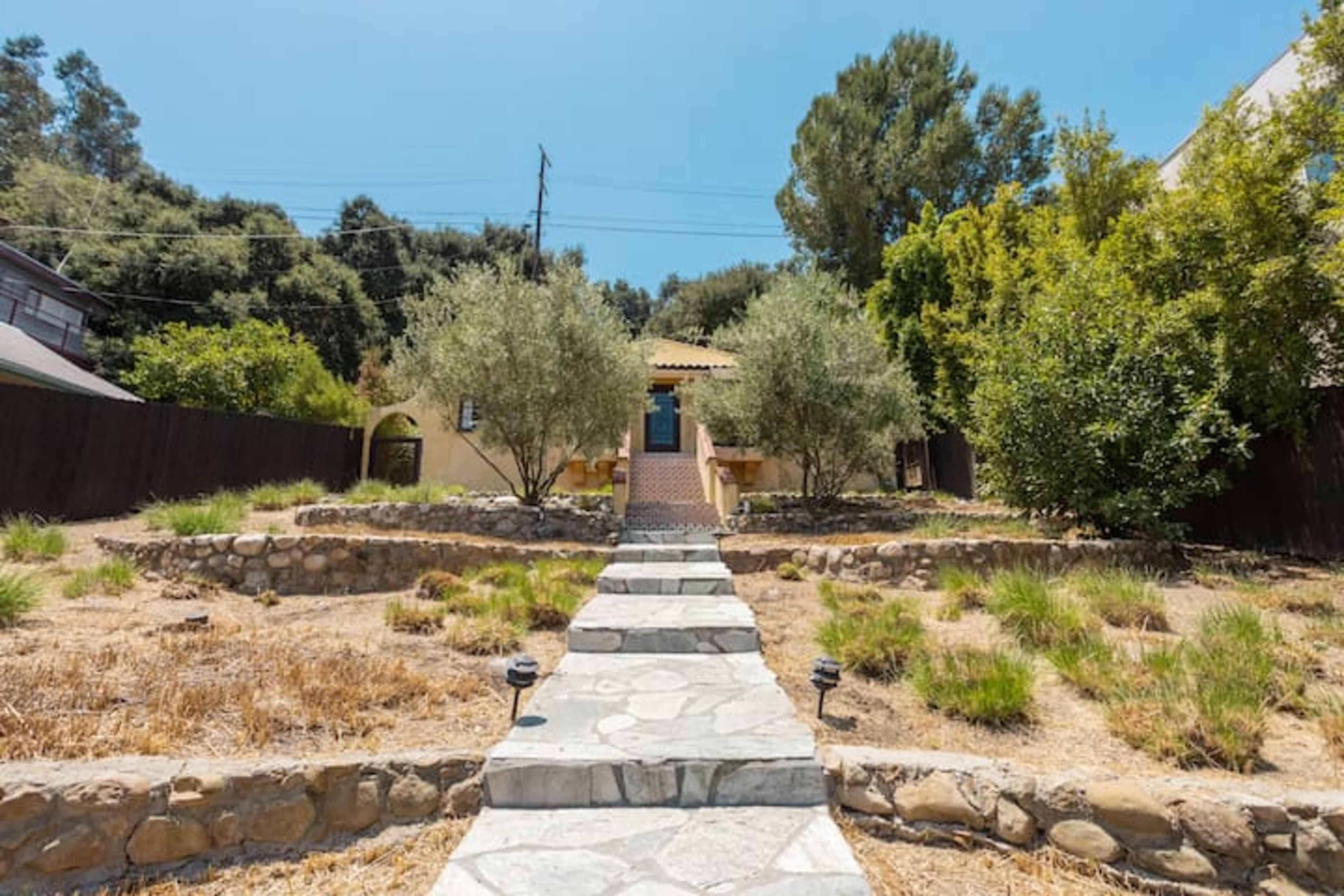 A stone pathway leads to a yellow house surrounded by olive trees and dry landscaping.