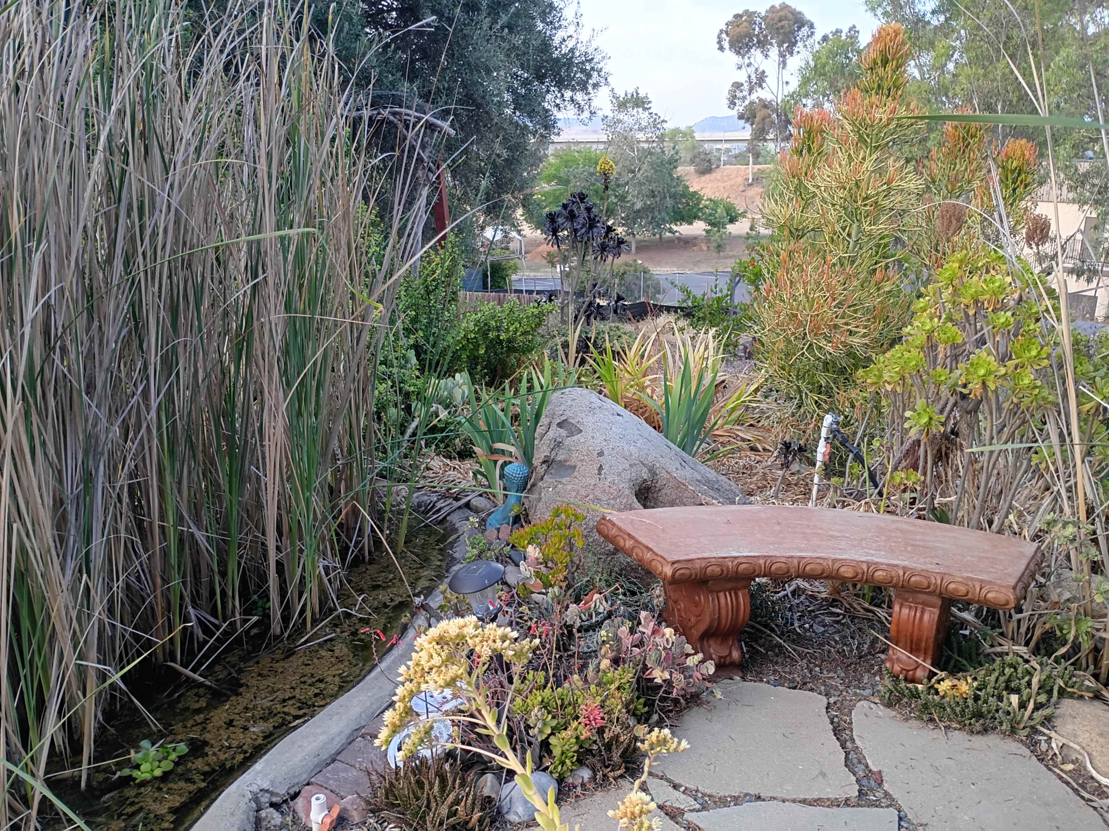 1940s Rustic California Ranch, Central San Diego Image in Santee, Santee, CA