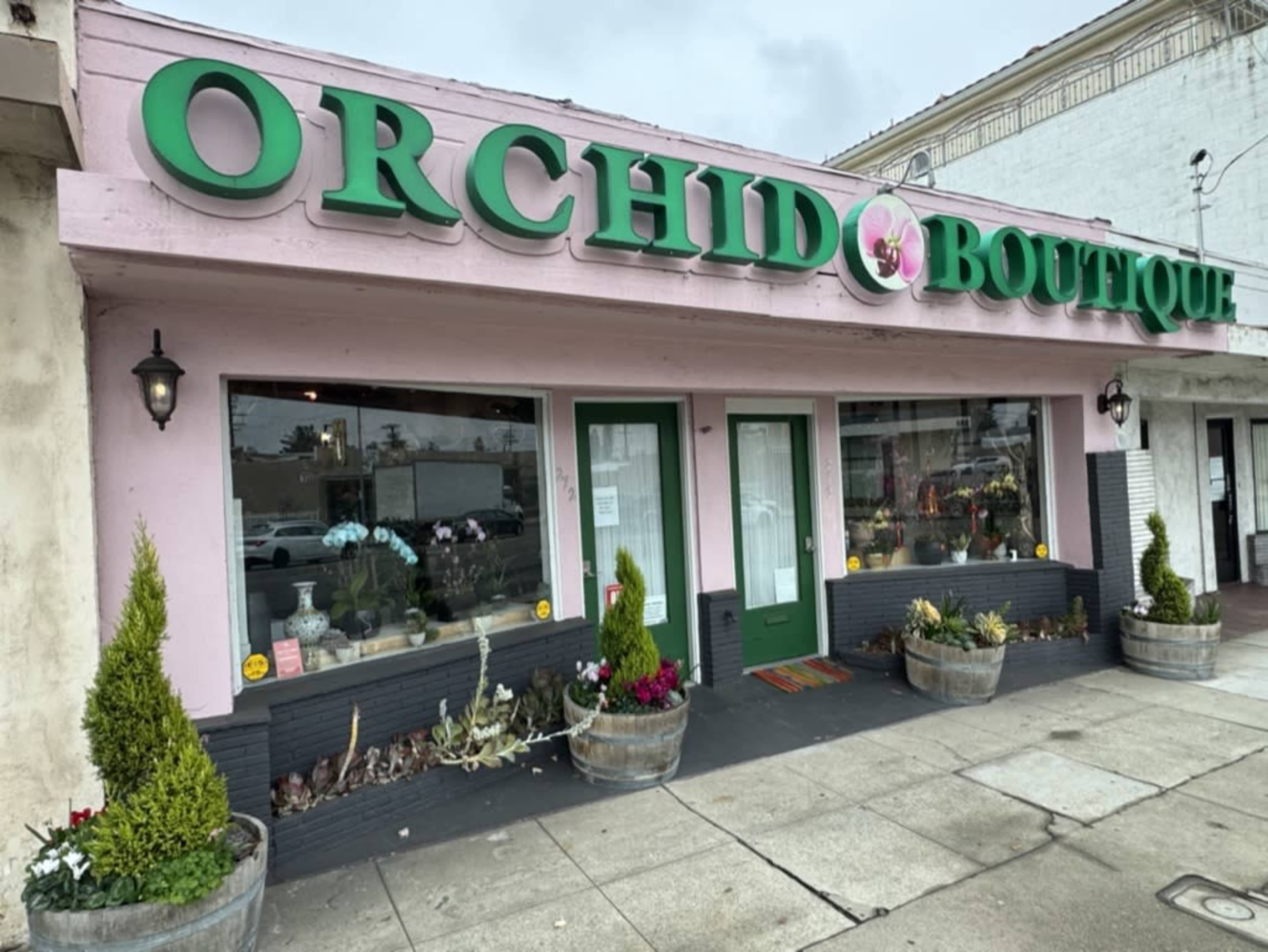 The image shows the exterior of a shop called "Orchid Boutique," featuring green lettering, large windows, and potted plants by the entrance.