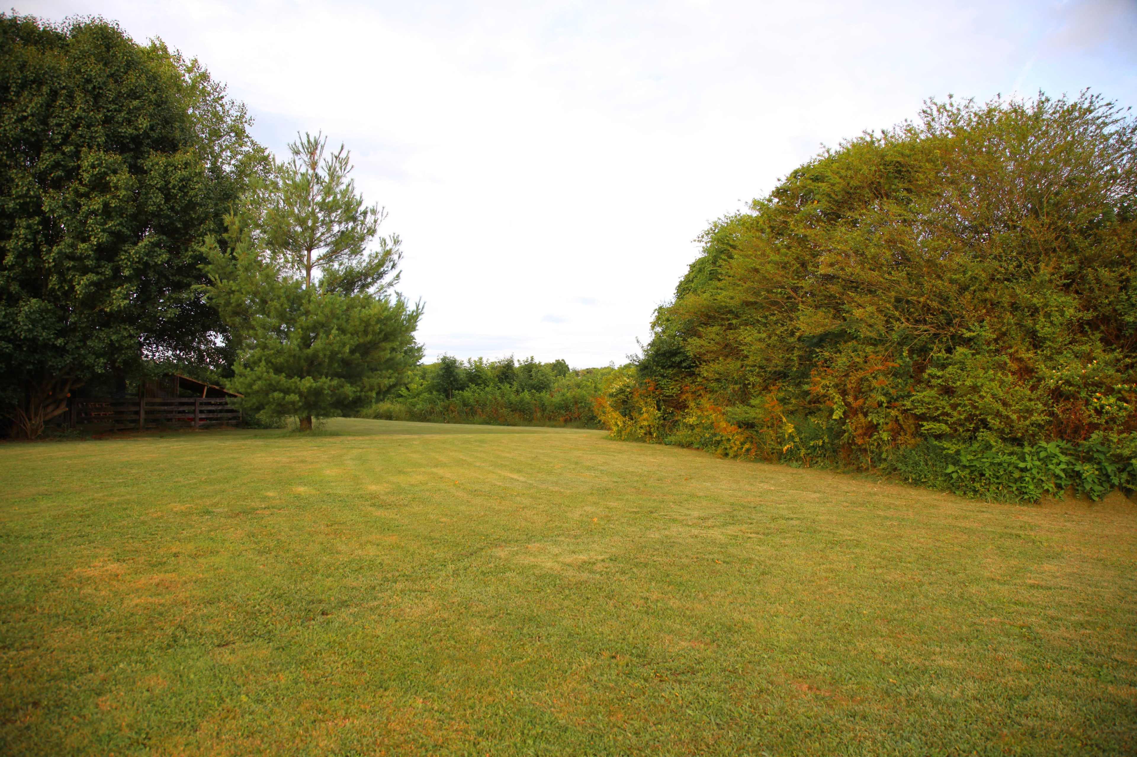 A wide, open grassy area is bordered by trees and bushes on either side.