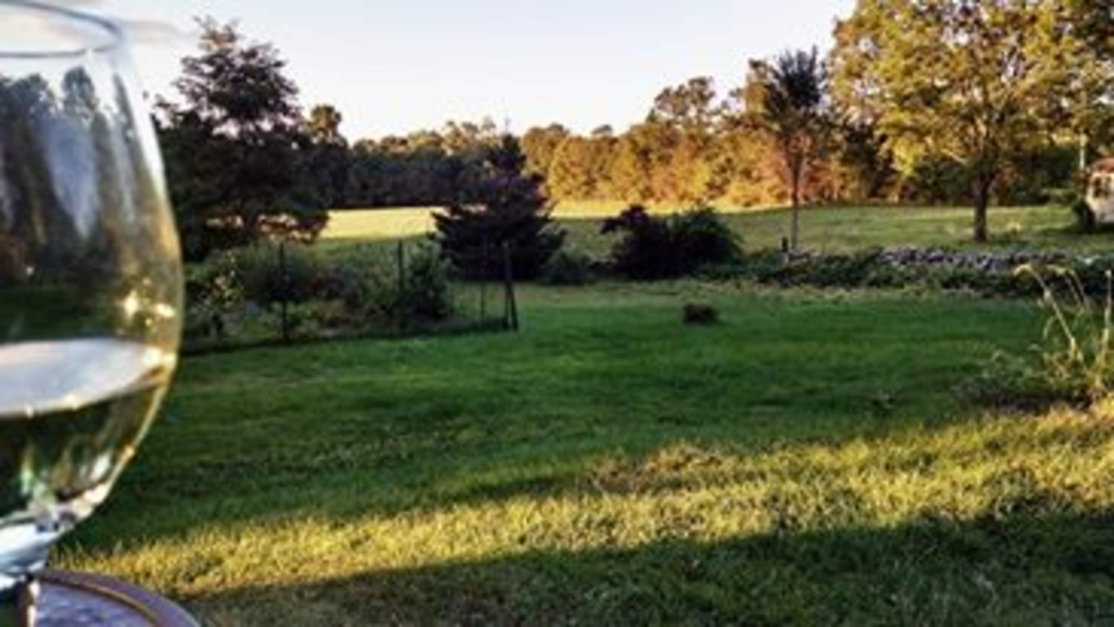 A clear glass of wine sits on a table in the foreground, overlooking a green lawn and tree-lined landscape.