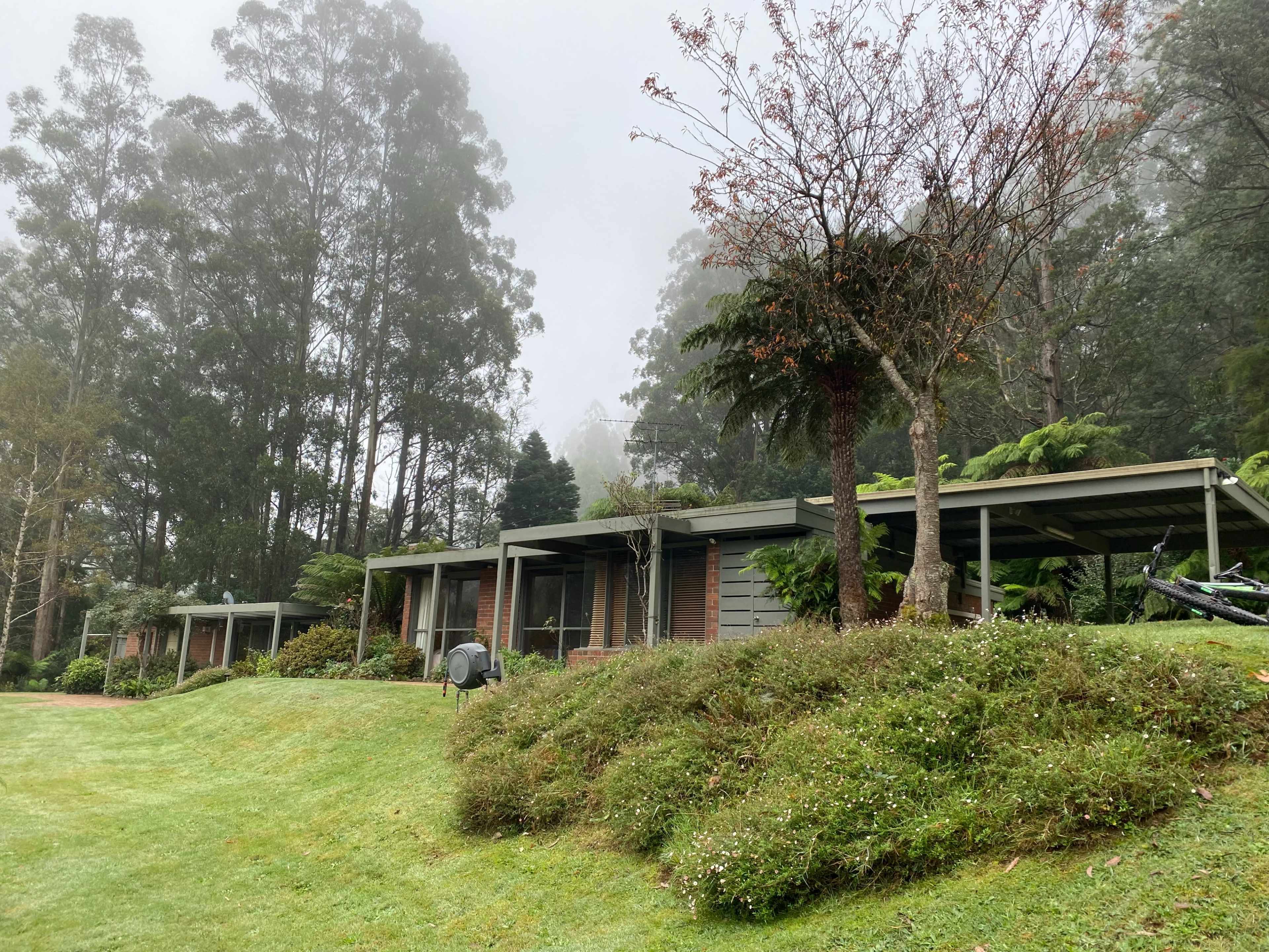 A row of cabins is situated on a grassy slope, surrounded by tall trees in a foggy landscape.