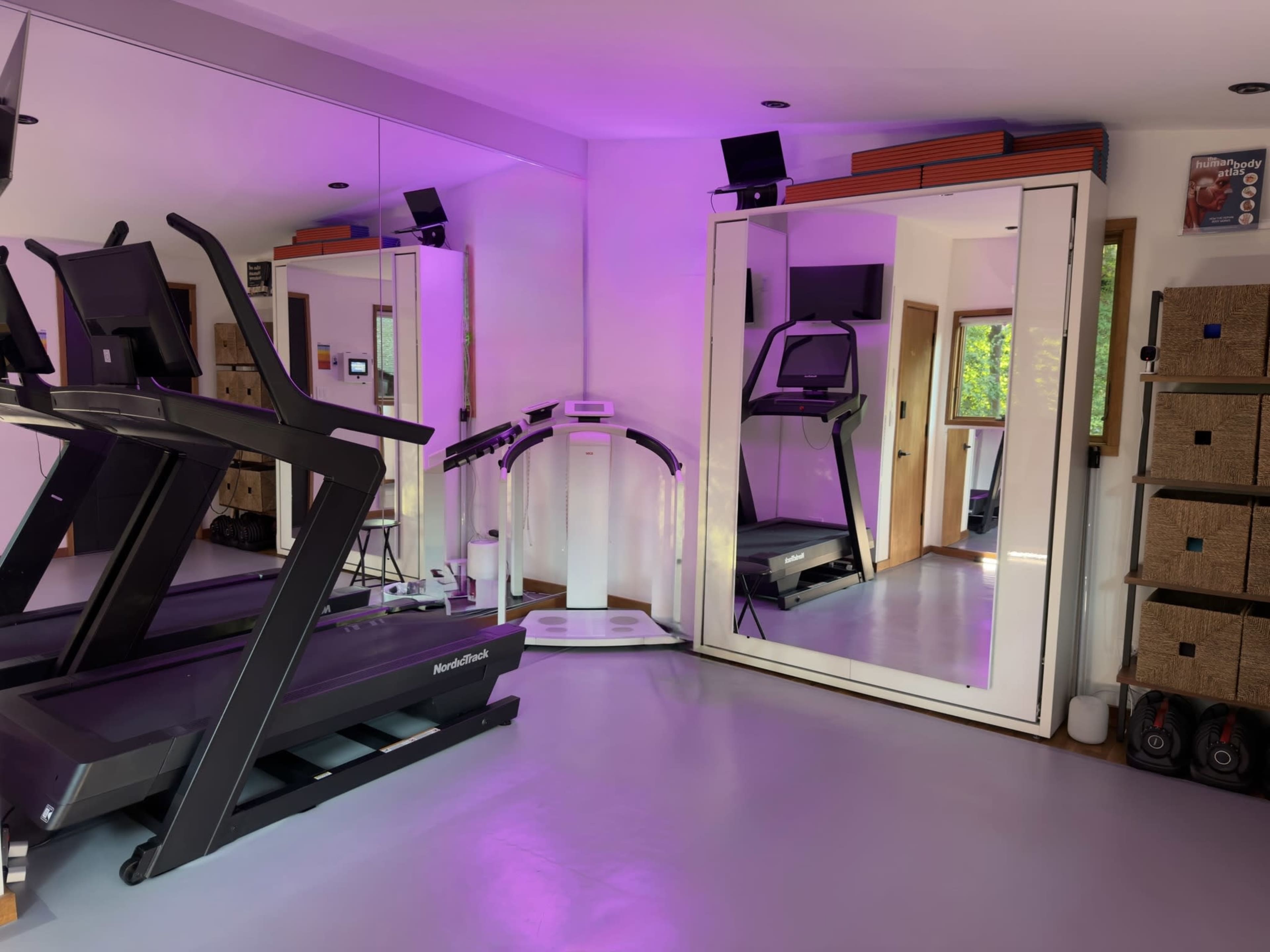 The image shows a home gym with two treadmills, a large mirror, and a shelving unit filled with storage boxes.