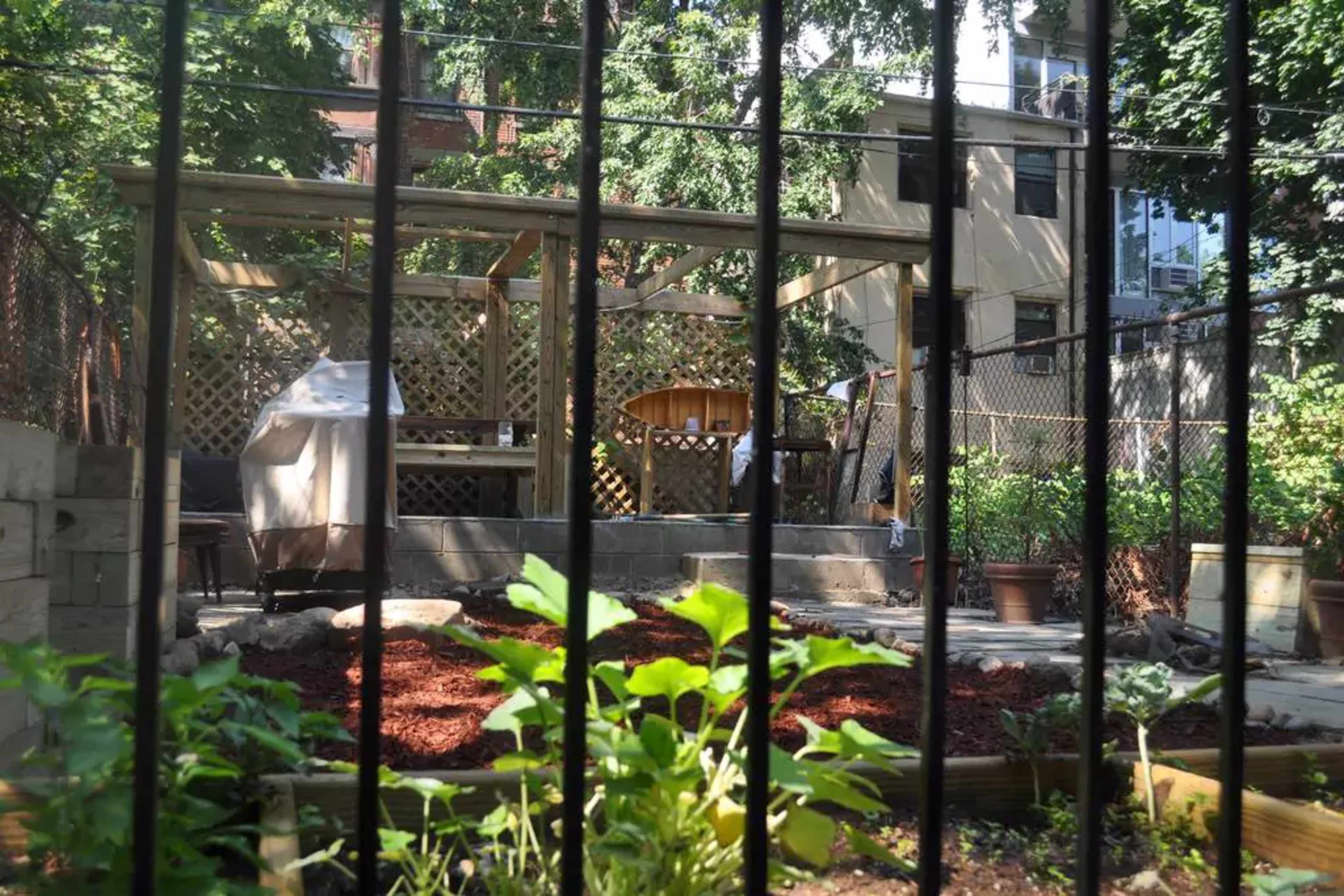 A fenced backyard features a wooden pergola, a stone pathway, and various plants growing in cultivated beds.