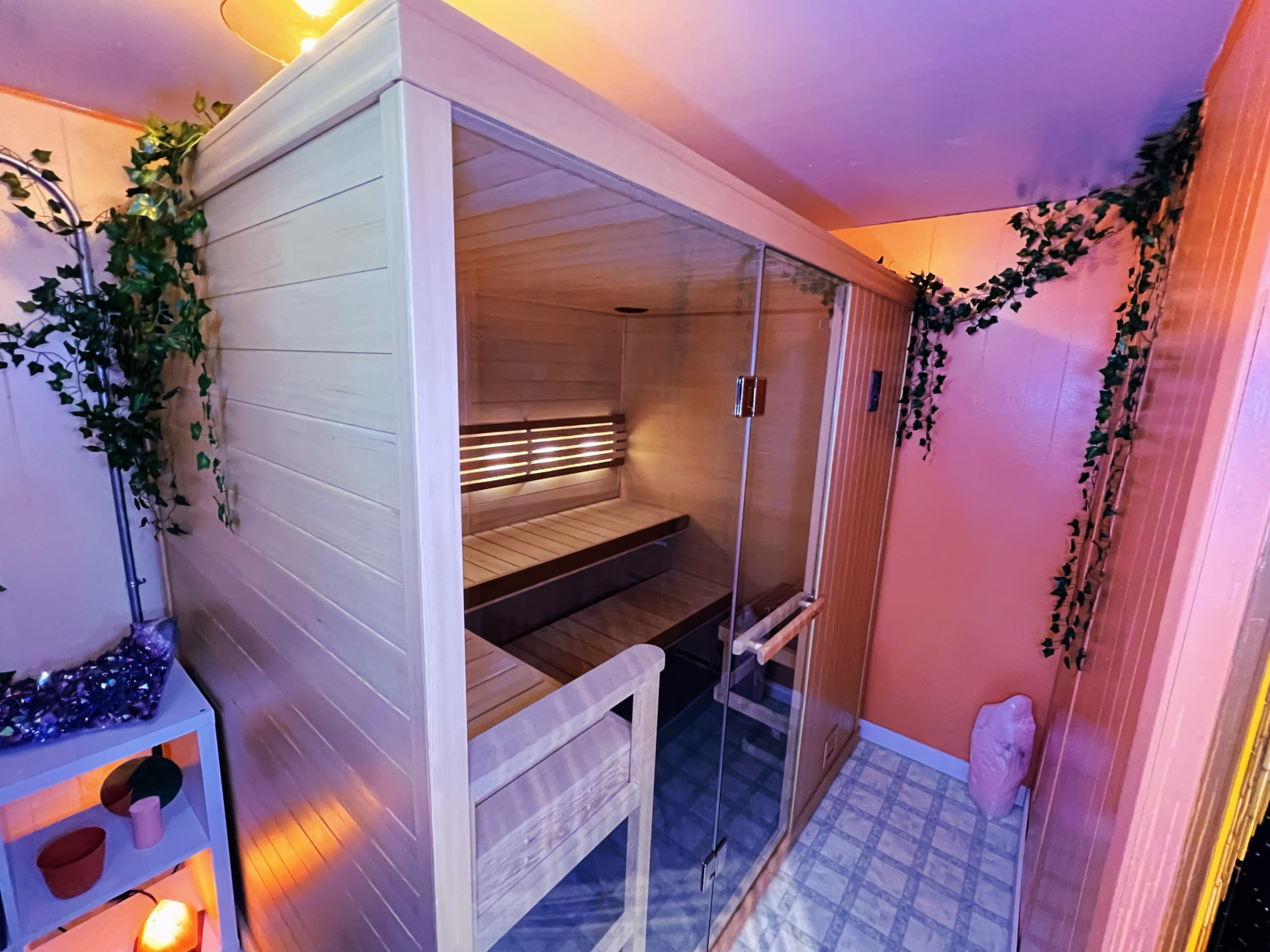 A wooden sauna enclosed in glass, situated in a room adorned with plants and an orange wall.