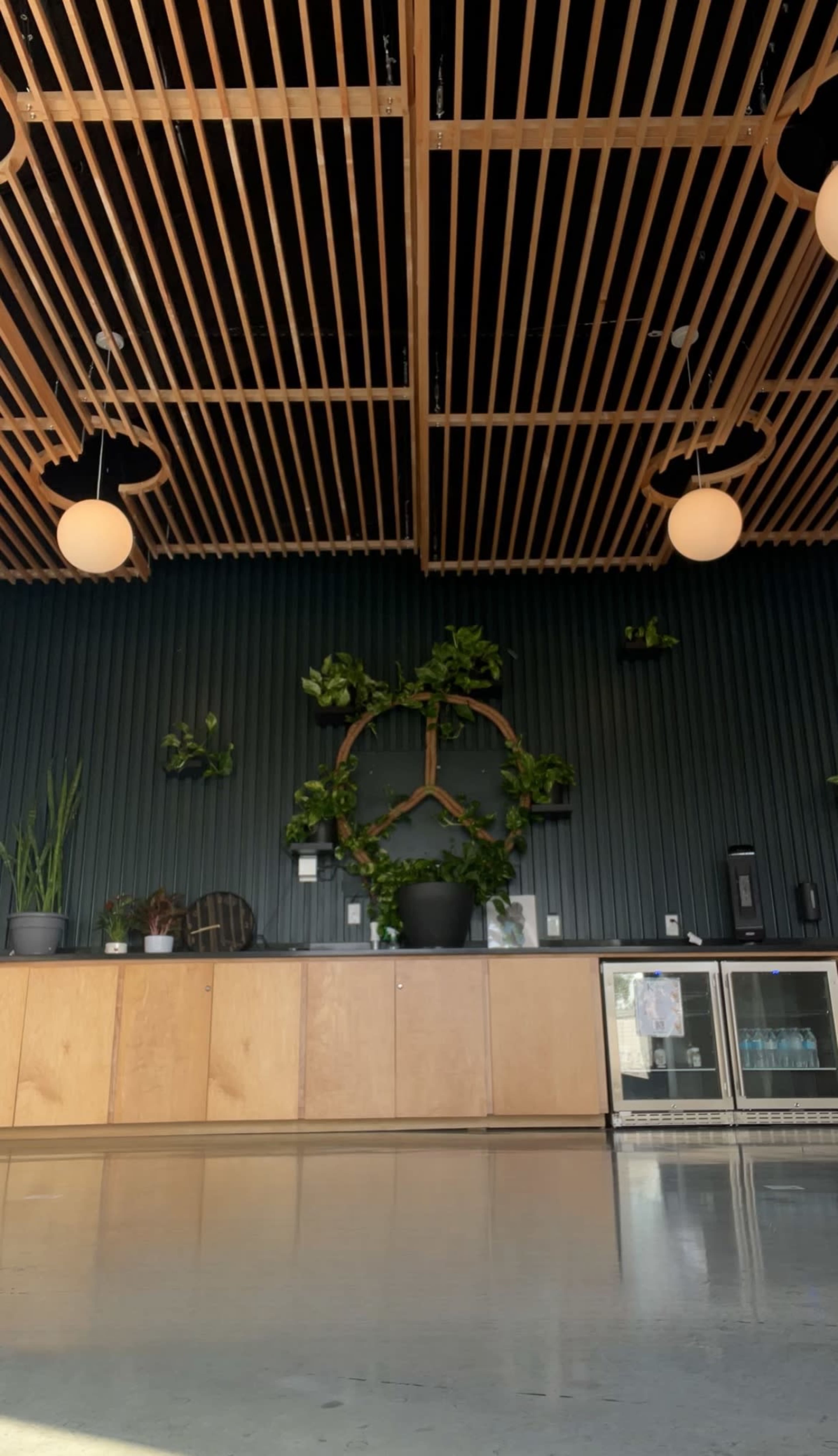The image shows a modern interior space with wooden ceiling beams, circular pendant lights, and a green plant arrangement on a dark wall, accompanied by wooden cabinetry and a refrigeration unit.