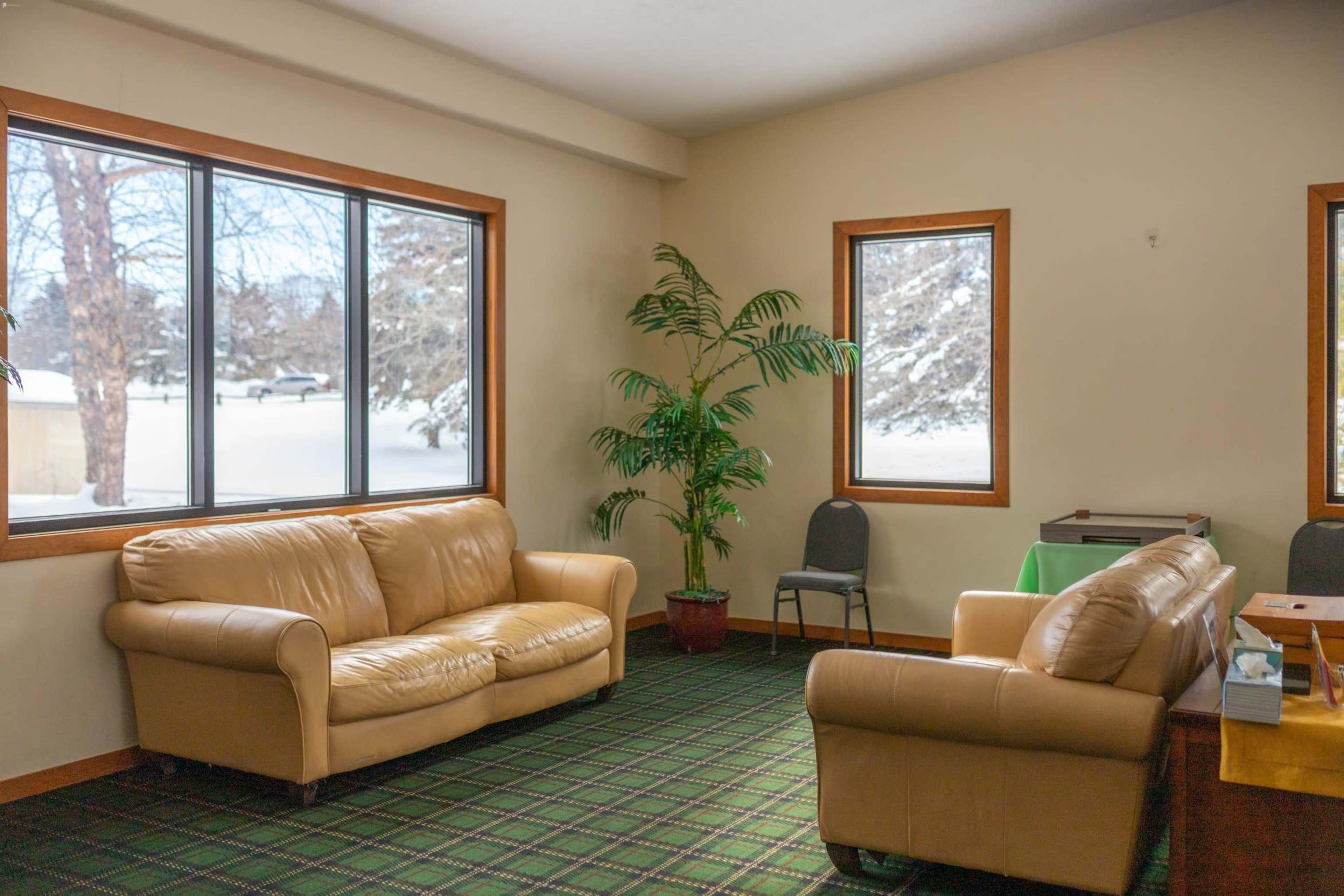 A living room features two leather sofas, a potted plant, and a view of snow-covered trees through large windows.