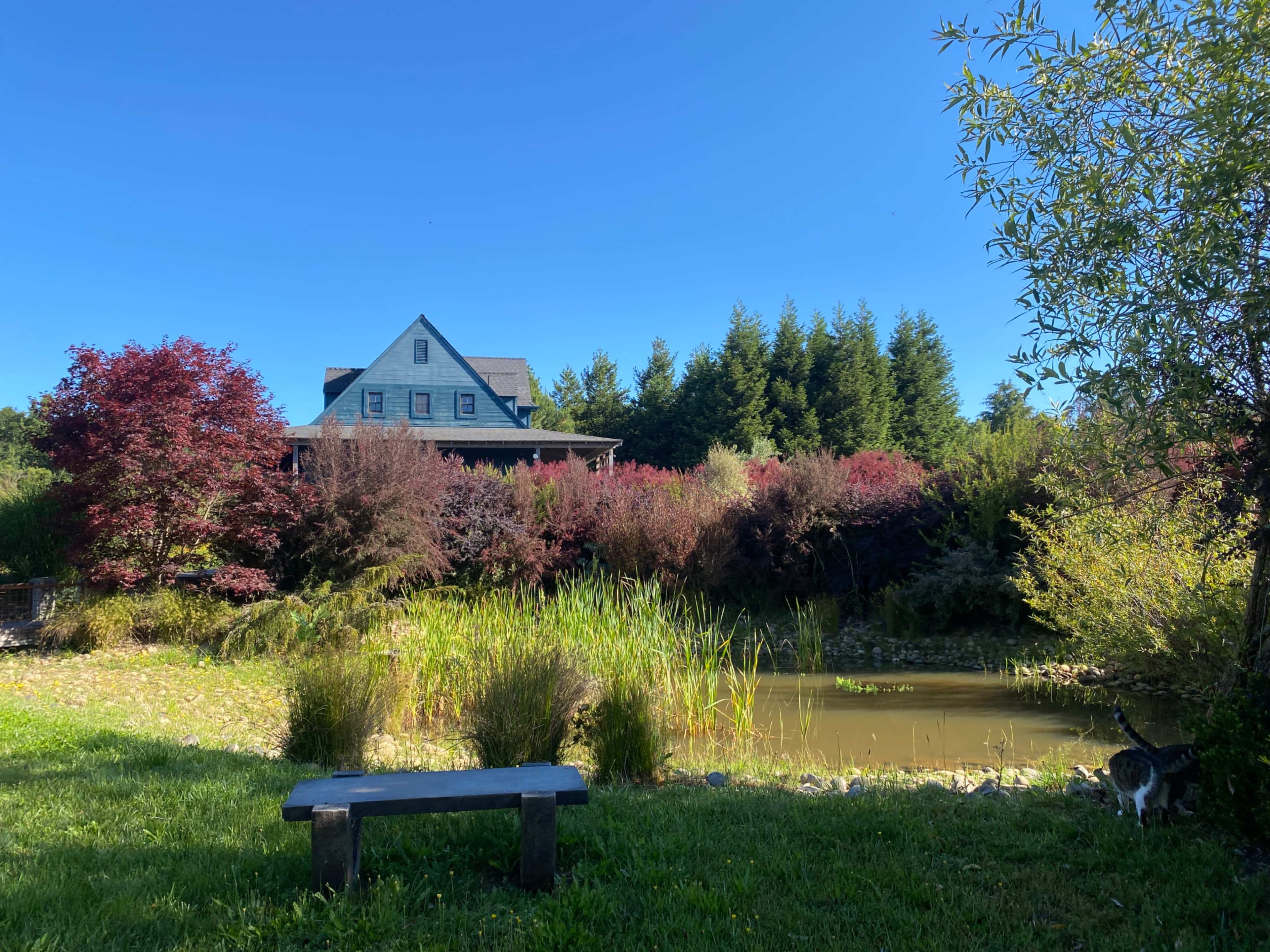 Modern, Custom country home on 8 acres with Vineyard, Views & Farm Image in , Sebastopol, CA