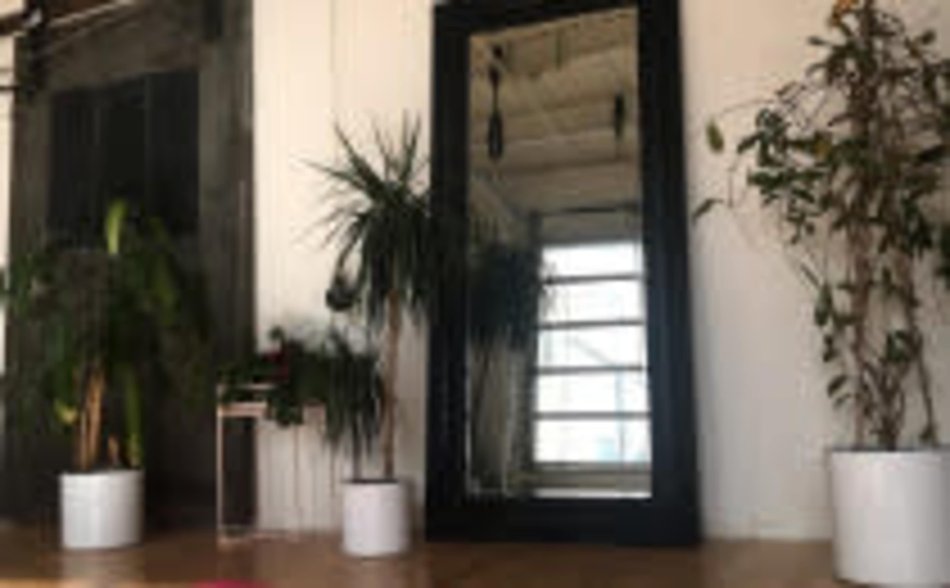 Sun-Drenched Aerial Dance Loft Image in Junction Triangle, Toronto, ON