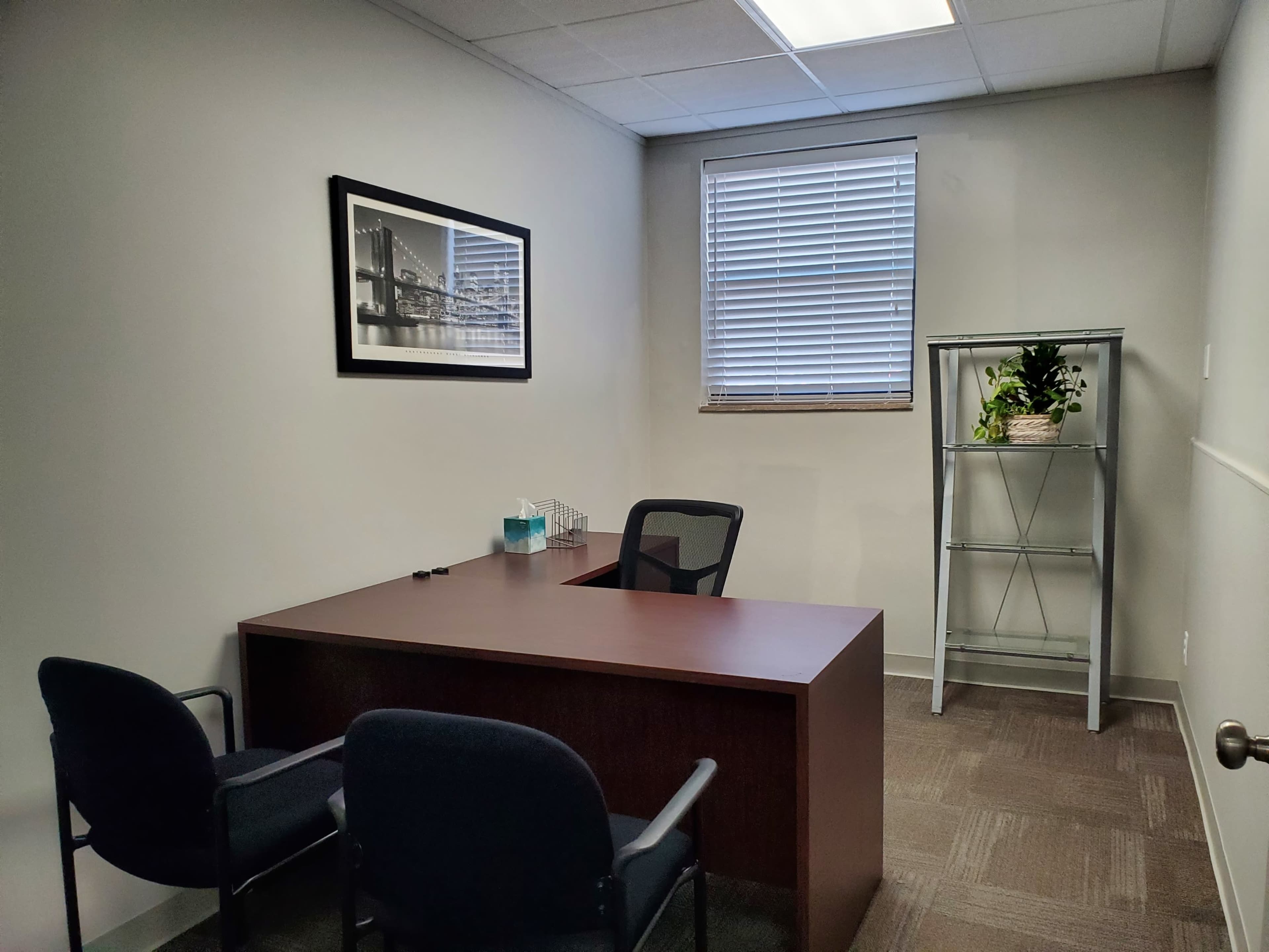 A small office with a wooden desk, two chairs, a shelving unit with a plant, and a framed picture on the wall.
