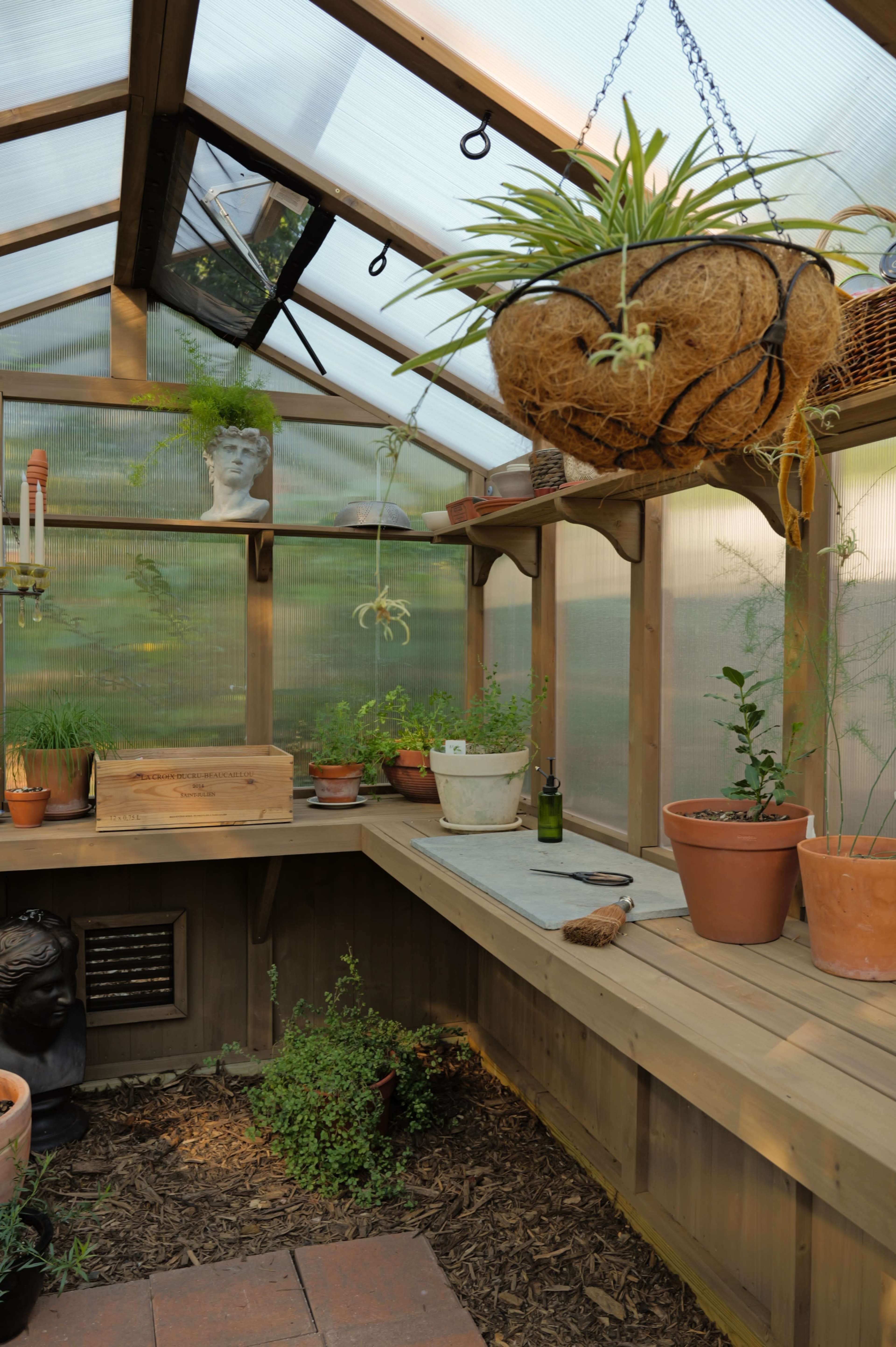 The image shows the interior of a greenhouse with wooden benches, various potted plants, and a hanging planter.