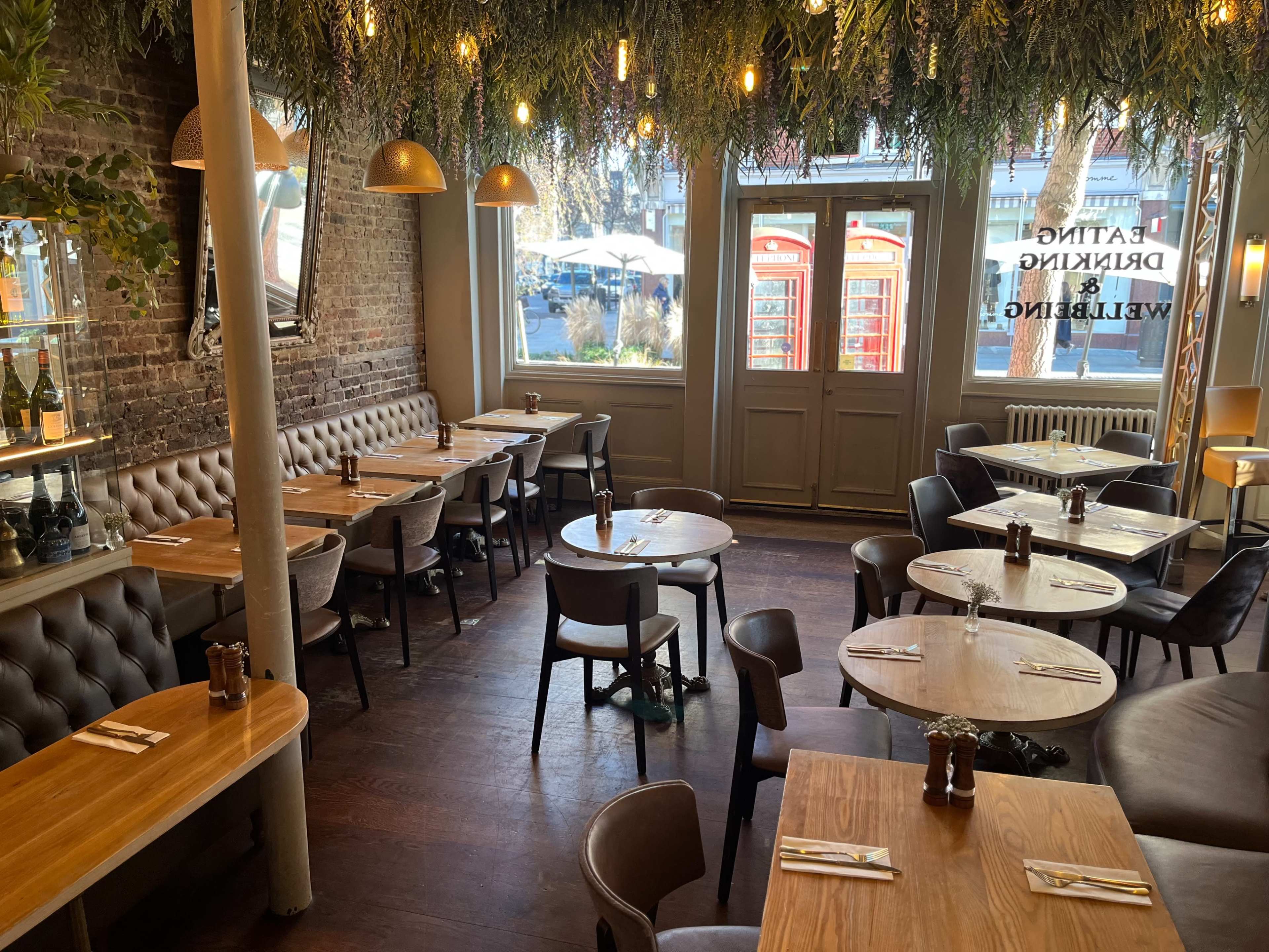The image shows a cozy restaurant interior with wooden tables, leather seating, and decorative plants hanging from the ceiling.