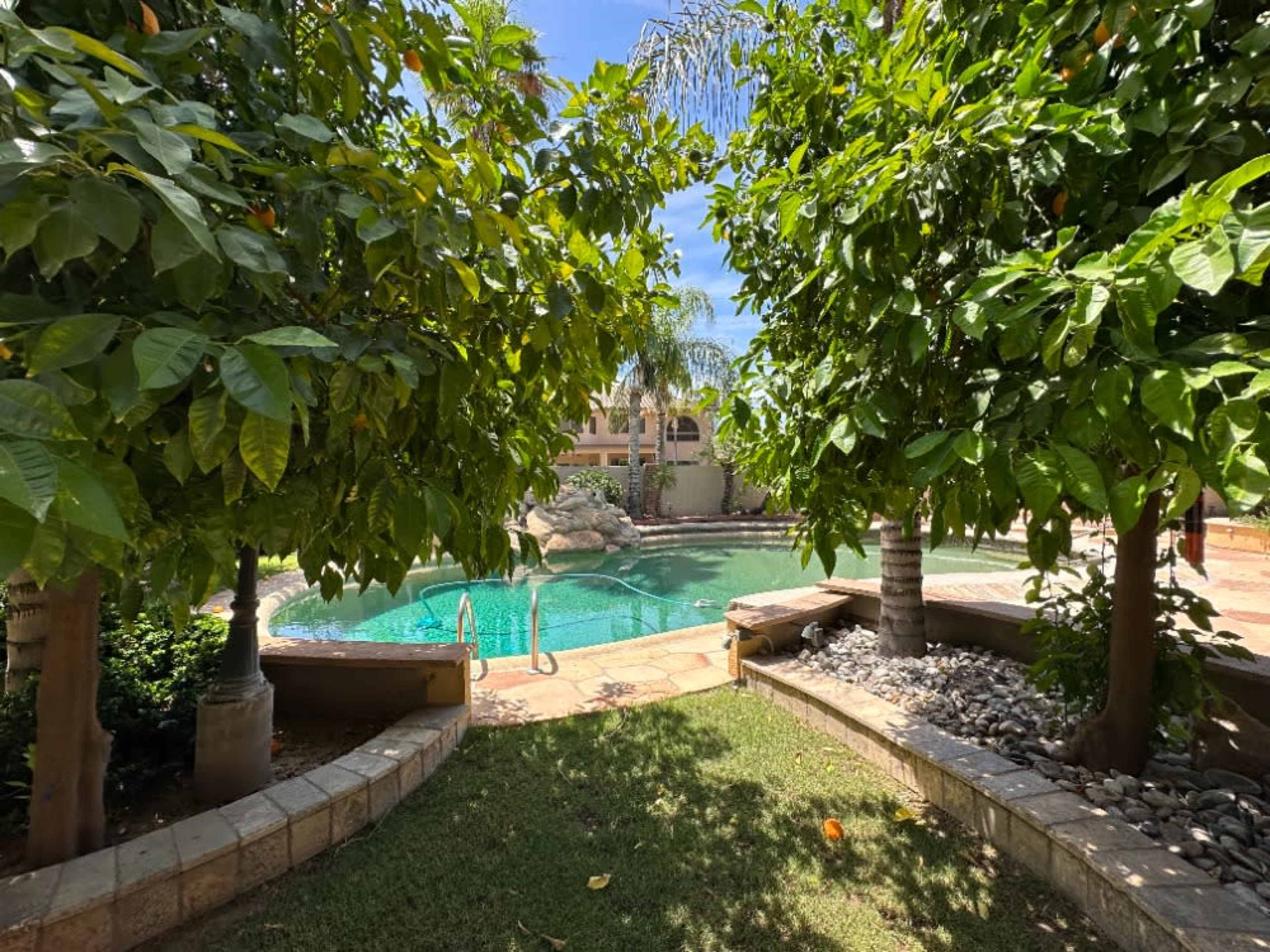 Backyard With Pool, Jacuzzi, and BBQ
