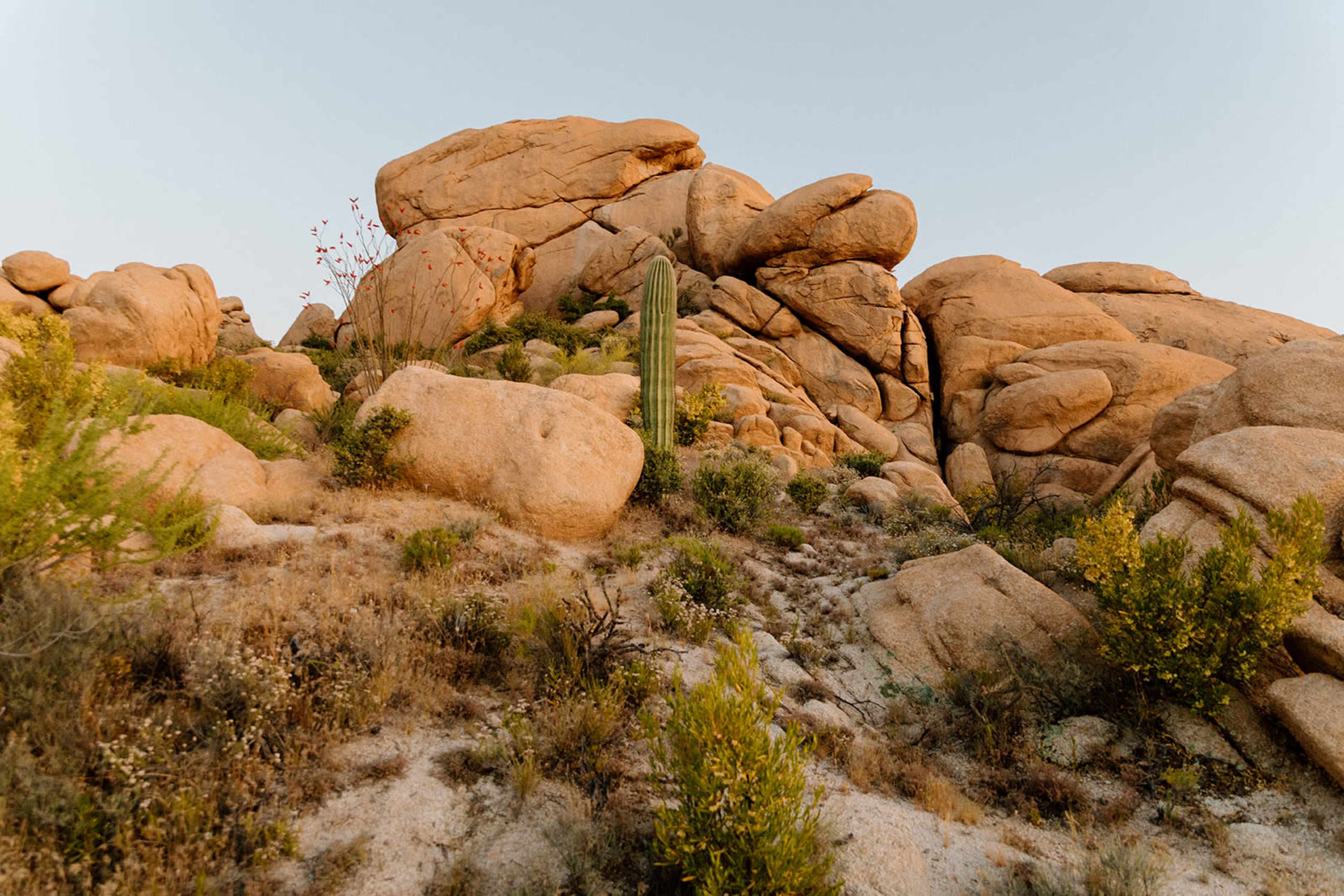 The image shows a rocky desert landscape with large boulders and a saguaro cactus among sparse vegetation.