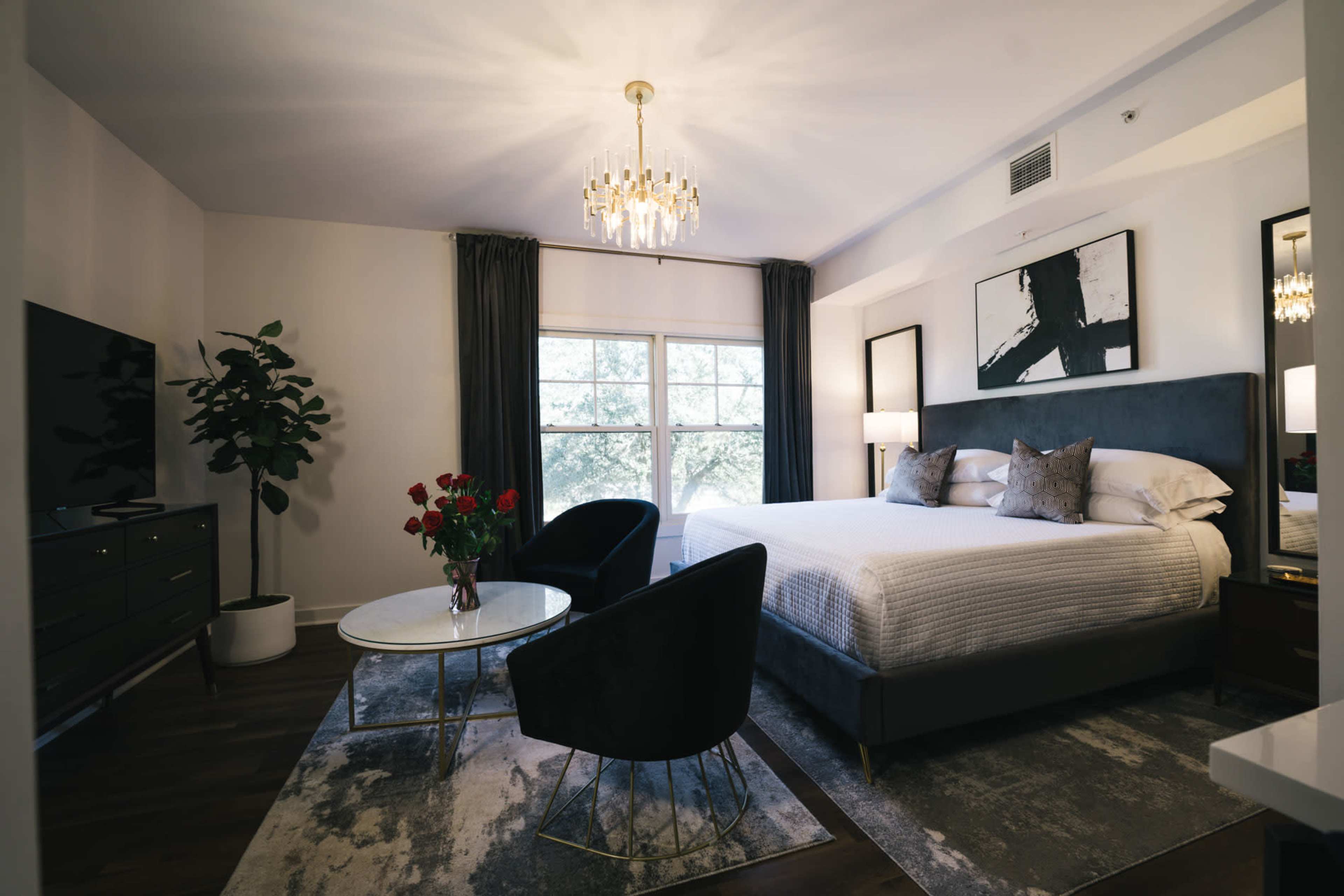 A modern bedroom features a large bed, a television, a decorative plant, and a seating area with two chairs and a coffee table.