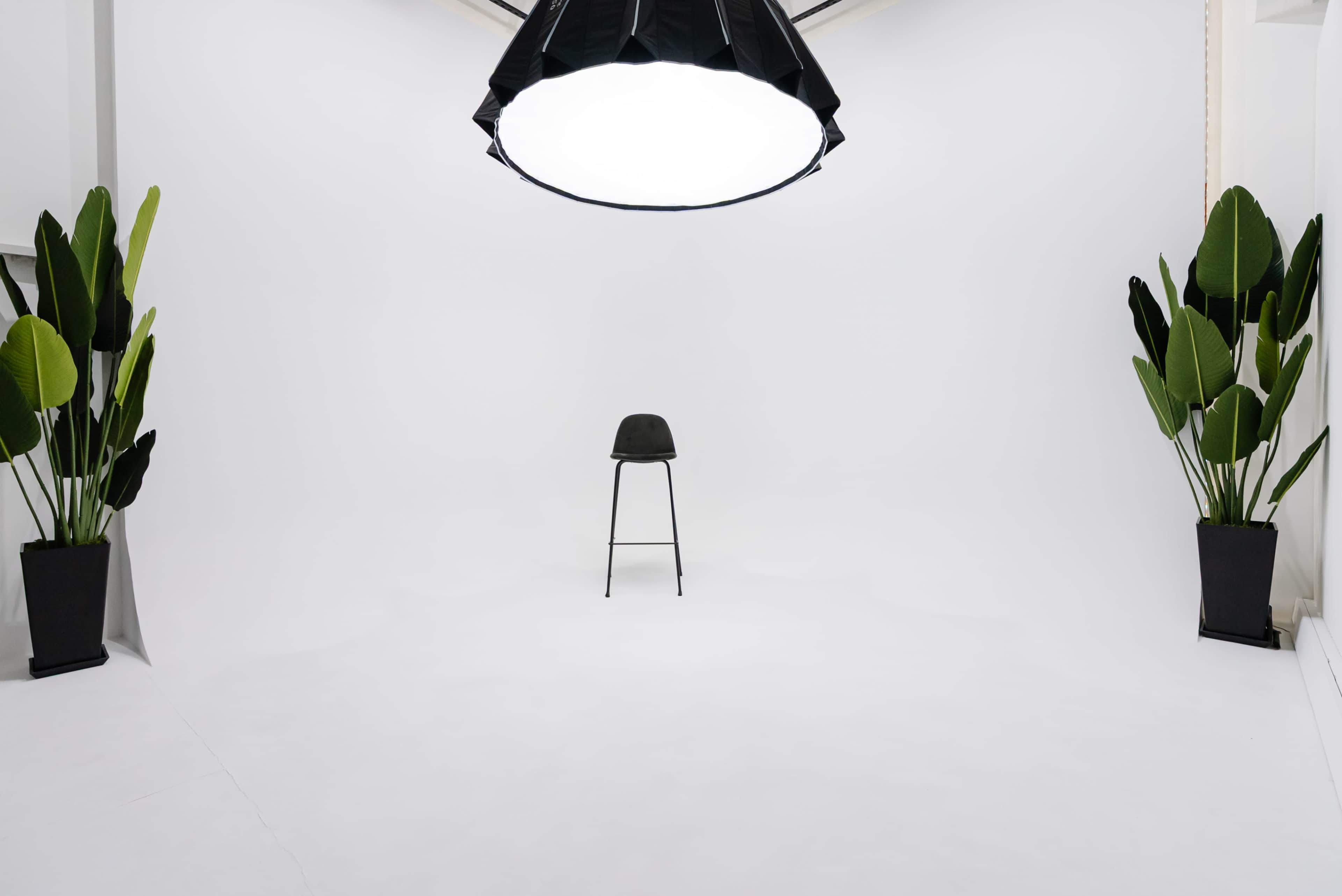 A black stool is positioned in the center of a minimalistic studio space with white walls and two potted plants on either side.