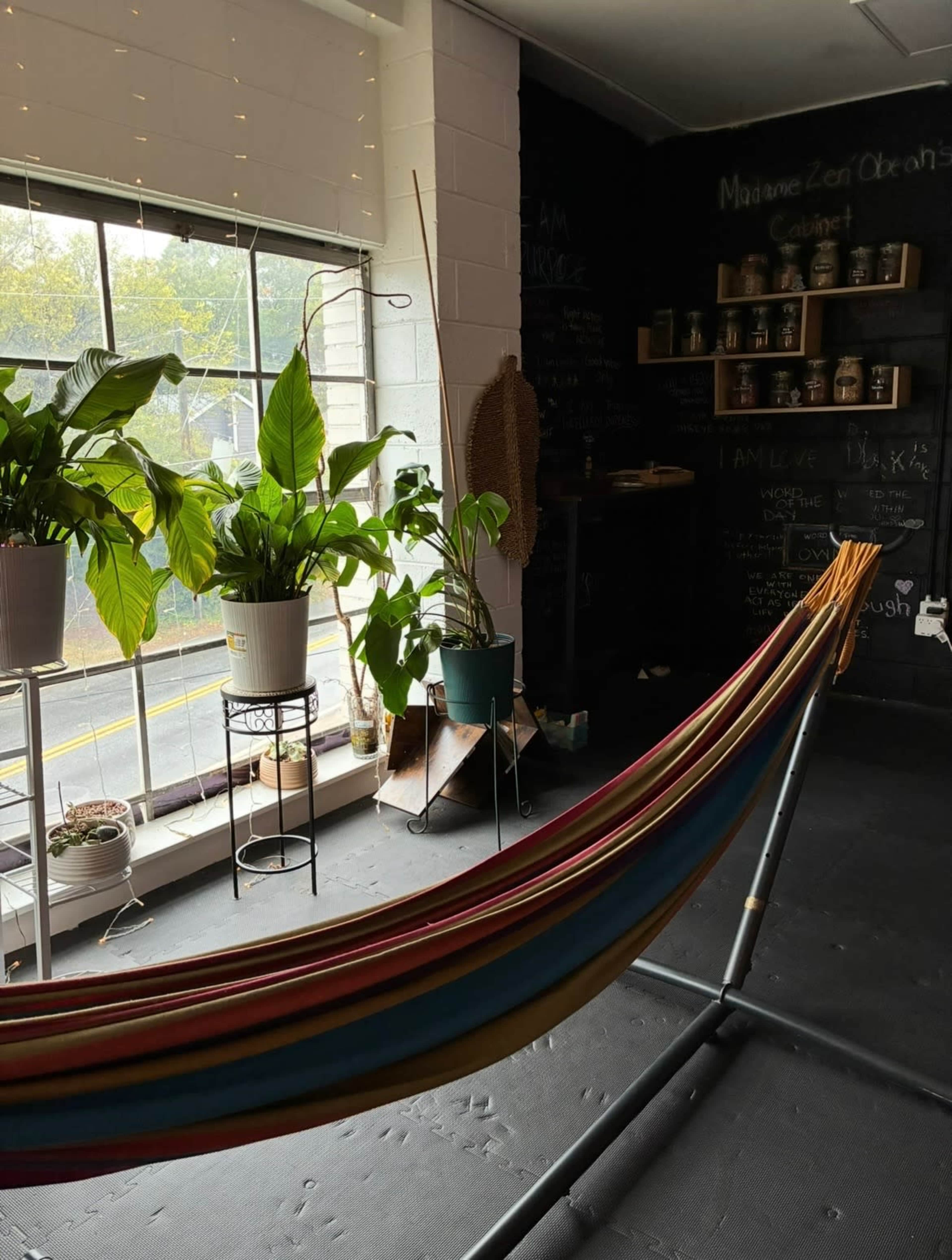 The image shows a colorful hammock positioned in a room with large windows, potted plants, and shelves filled with jars and chalkboard writing on the walls.