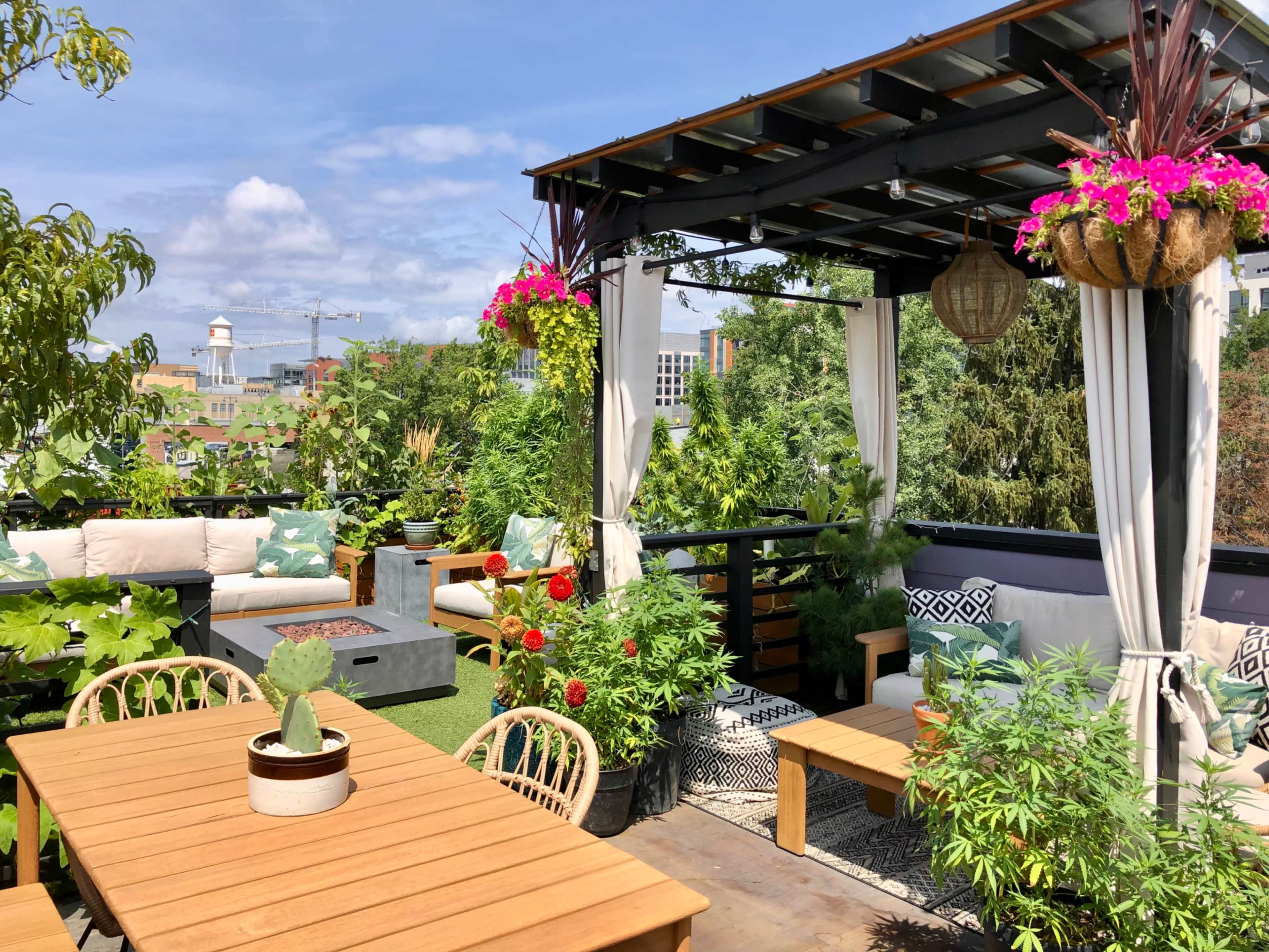 A rooftop terrace filled with greenery, comfortable seating, and a wooden dining table under a clear blue sky.