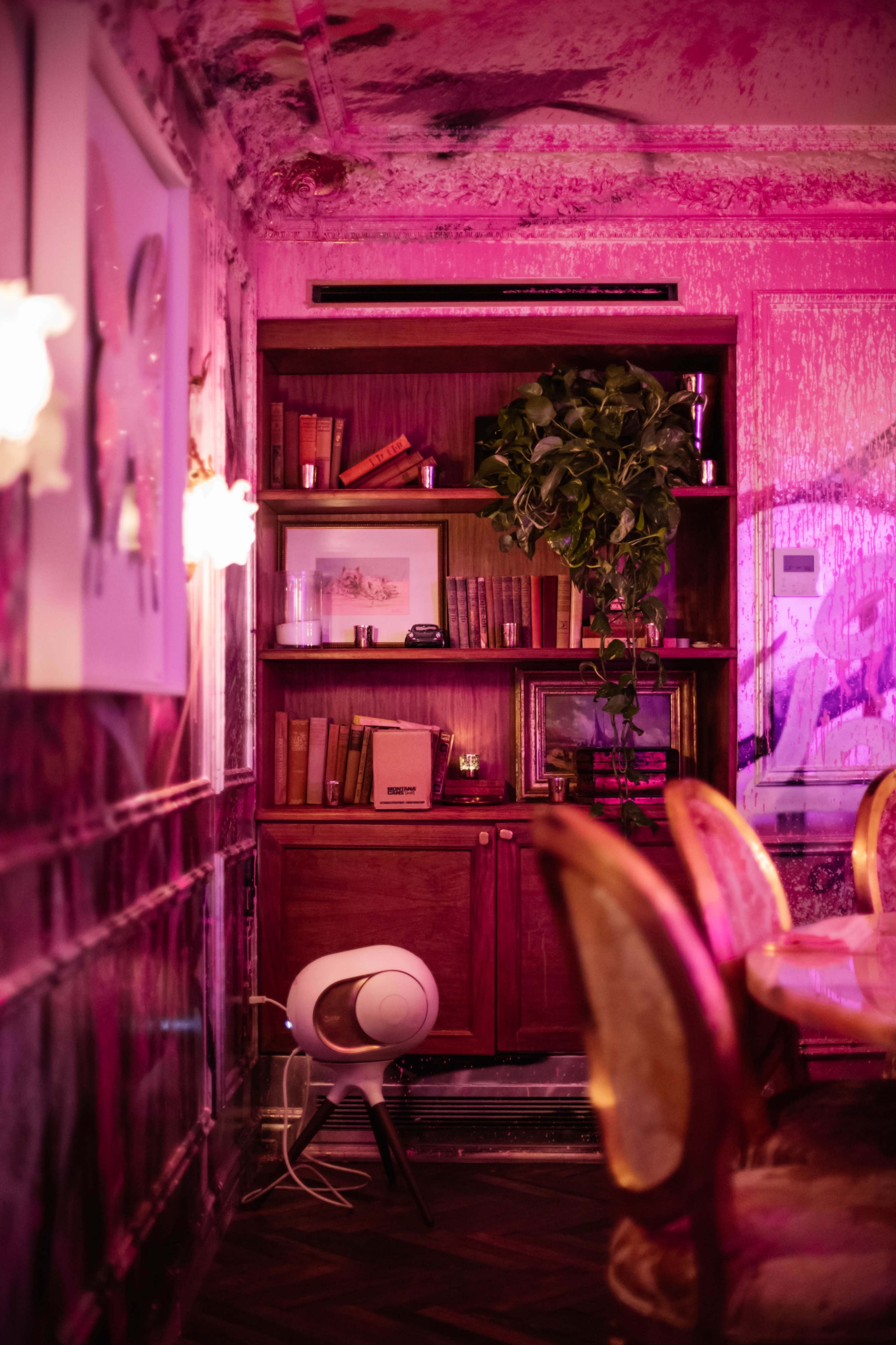 The image shows a dimly lit interior of a room featuring a wooden shelf with books, a potted plant, and a round white chair.