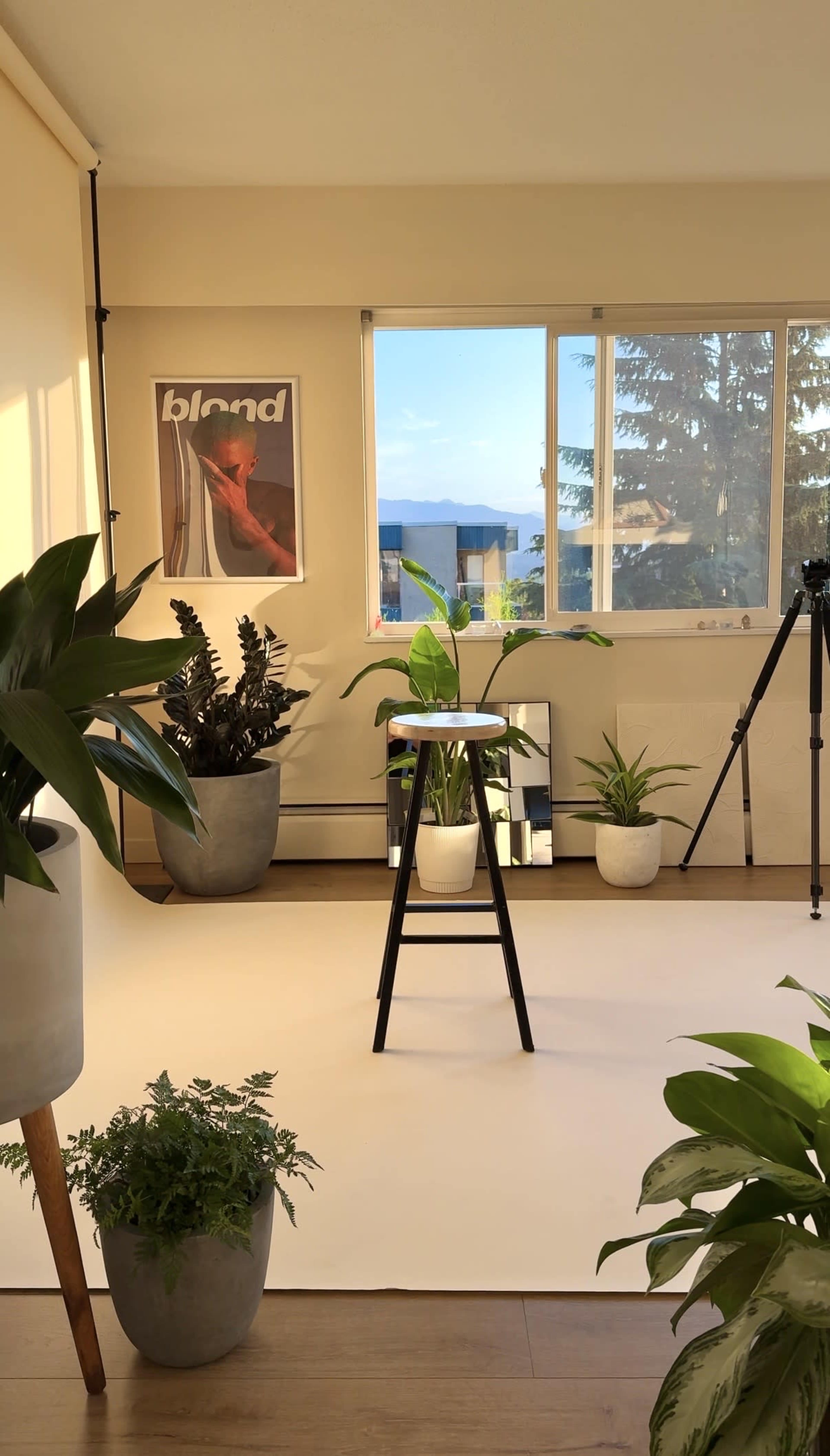 The scene depicts a bright and minimalistic studio space featuring potted plants, a stool, a camera tripod, and a large window with a view of distant hills.