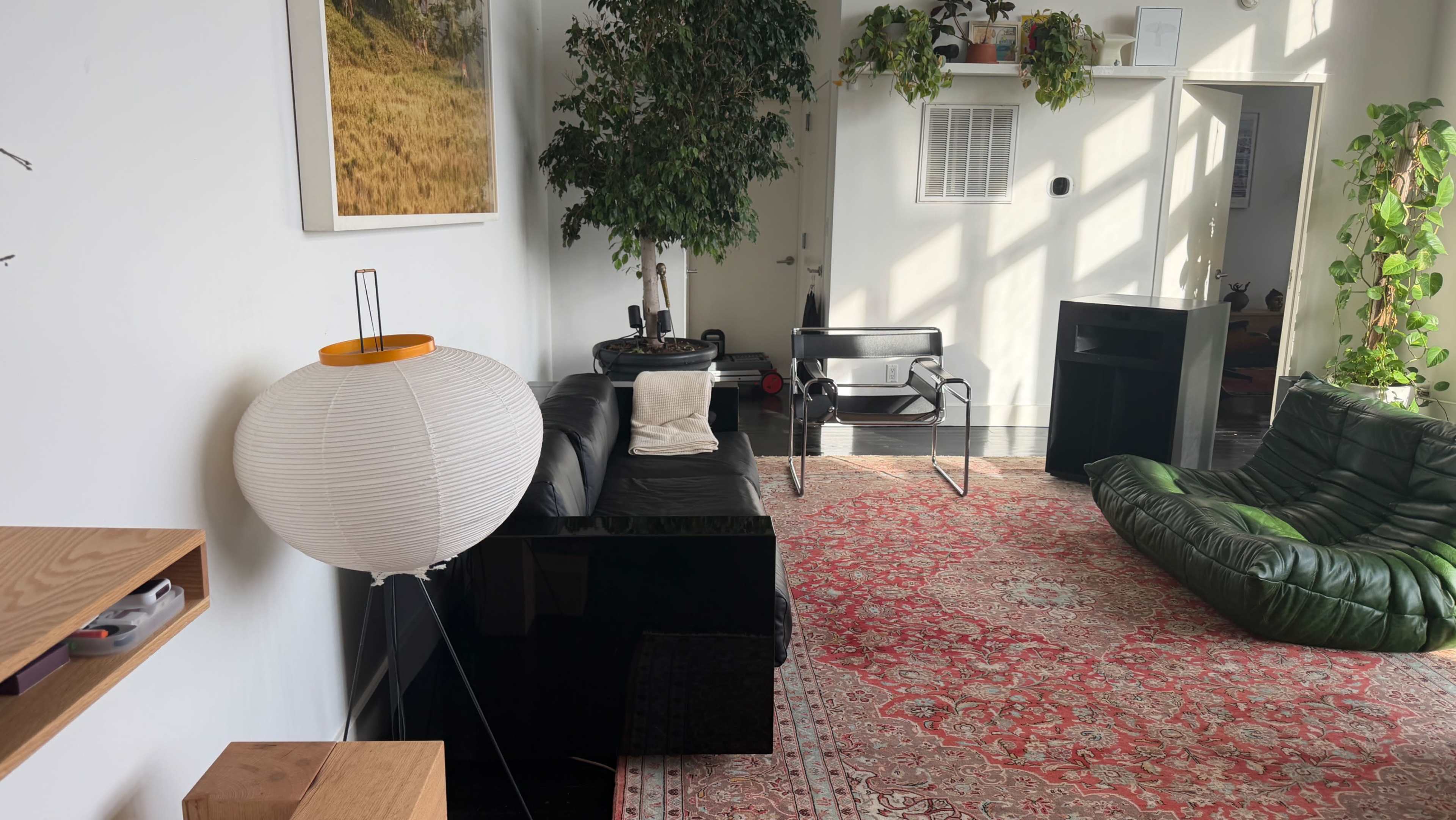 The room features a black sofa, a green lounge chair, a lamp with a round shade, and various plants against a backdrop of a large window.