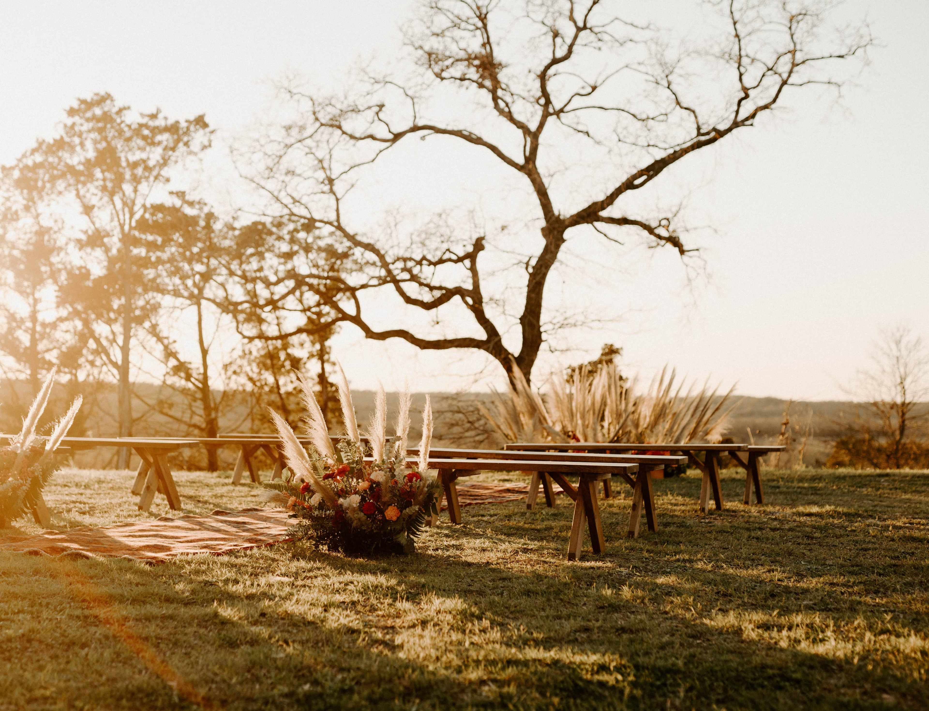 A serene outdoor setting with wooden benches arranged on a grassy area beside a bare tree, illuminated by warm sunlight, and decorated with floral arrangements.