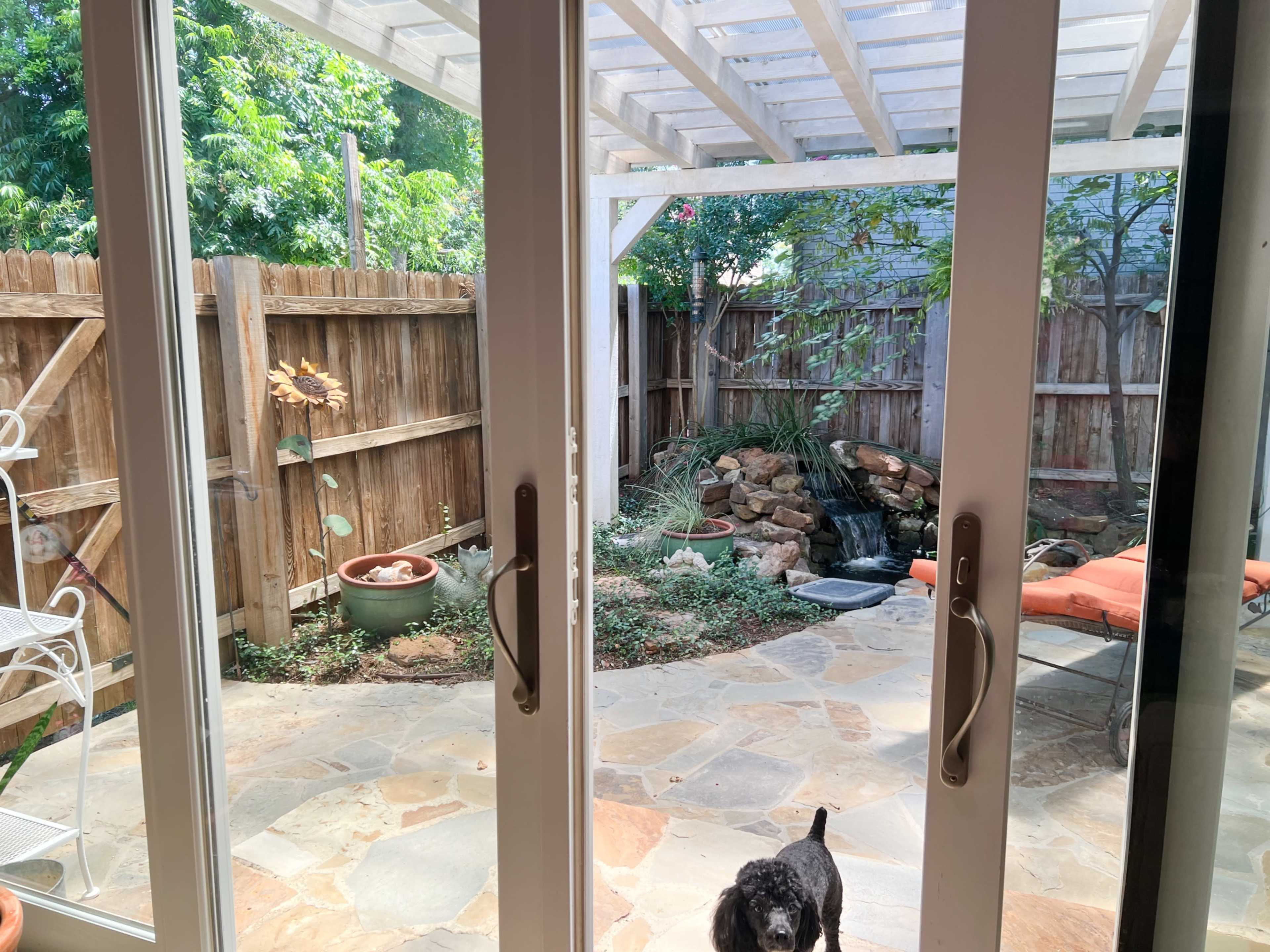 A backyard with a stone patio, a small water feature, and a black dog standing in front of a glass door.
