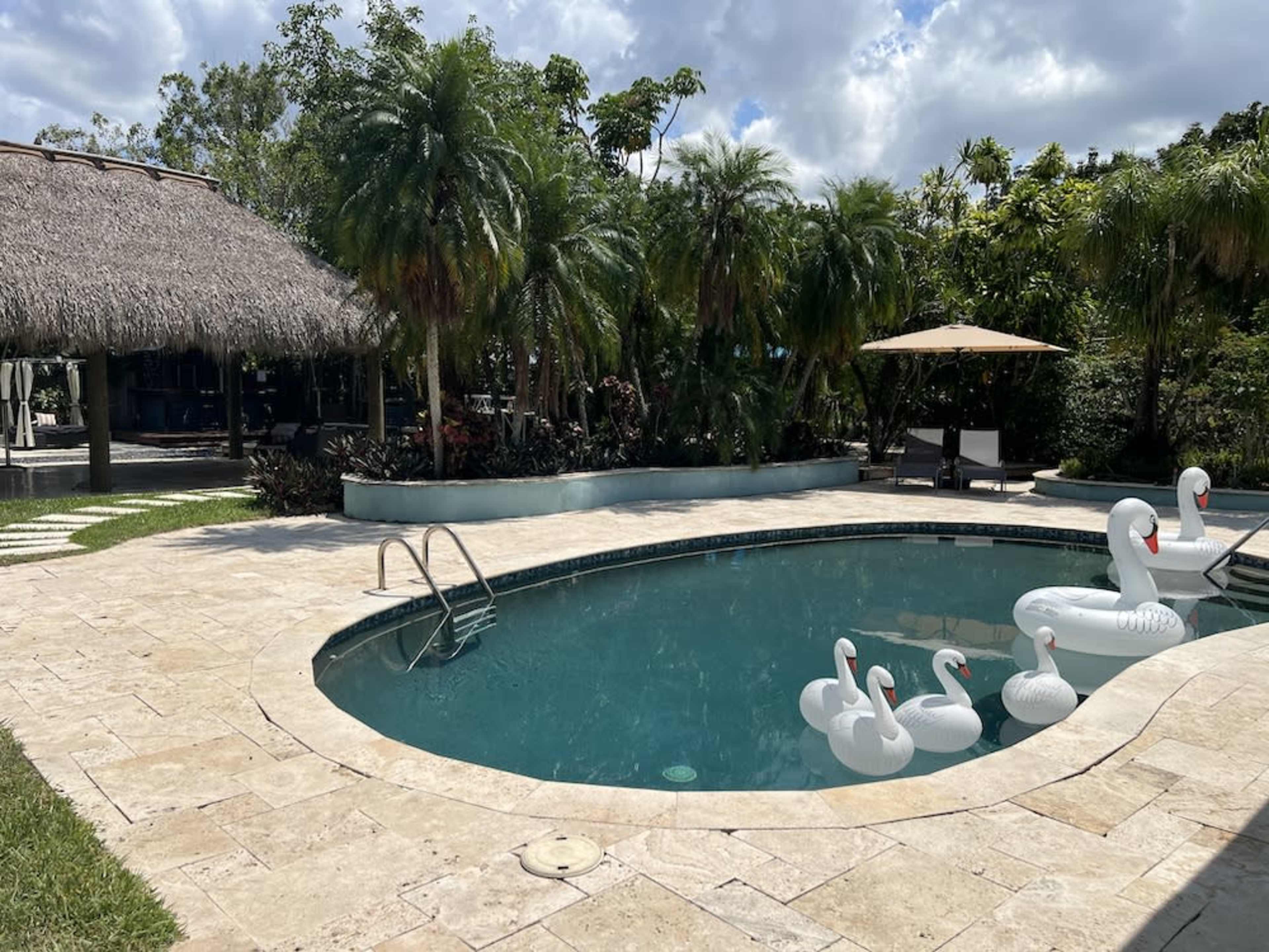 The image shows a tropical pool area with a thatched roof gazebo, palm trees, and inflatable swan floats in the water.