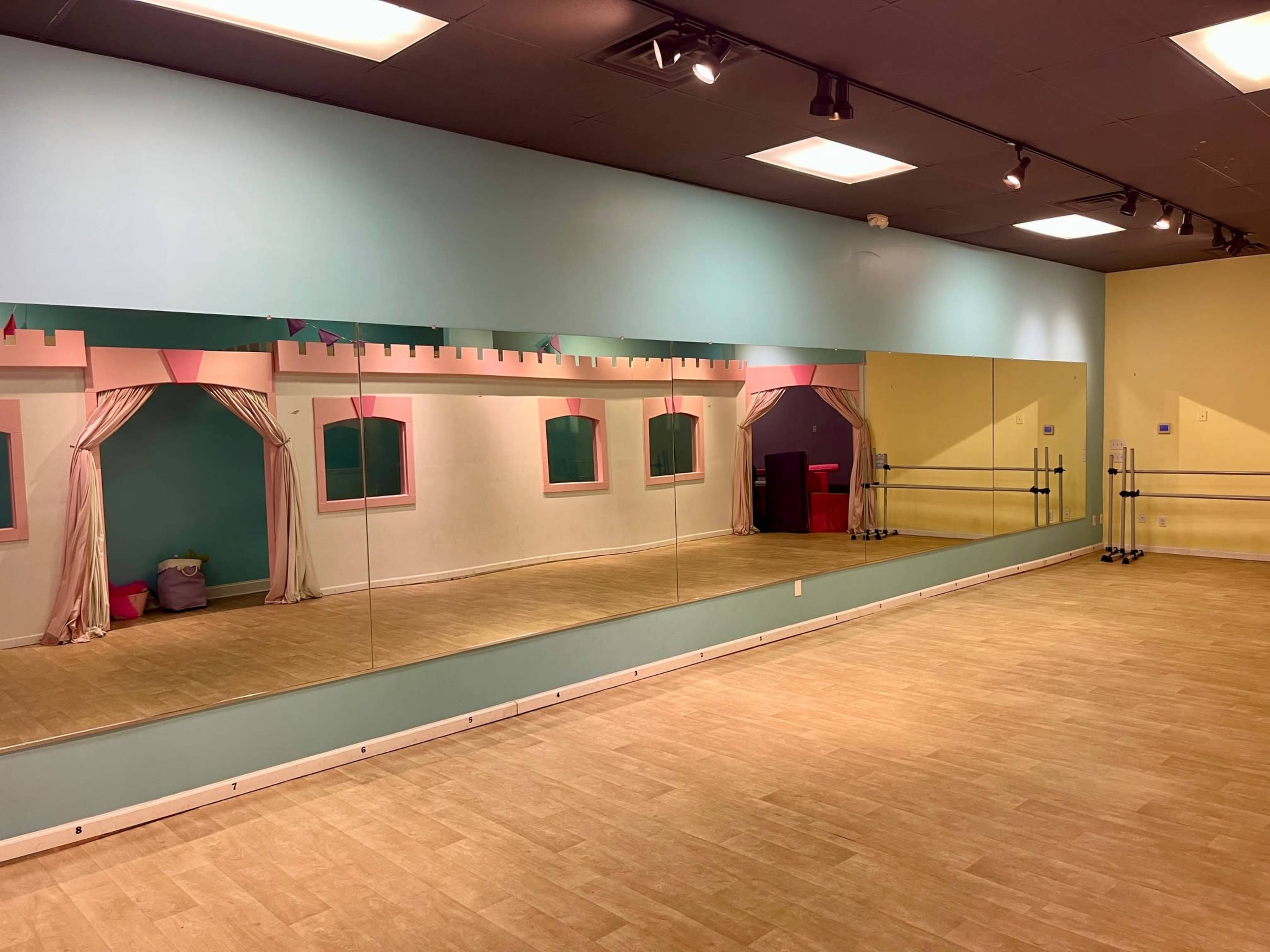 Versatile Mirrored Studio Space in Shopping Center Image in Roanoke, Roanoke, VA
