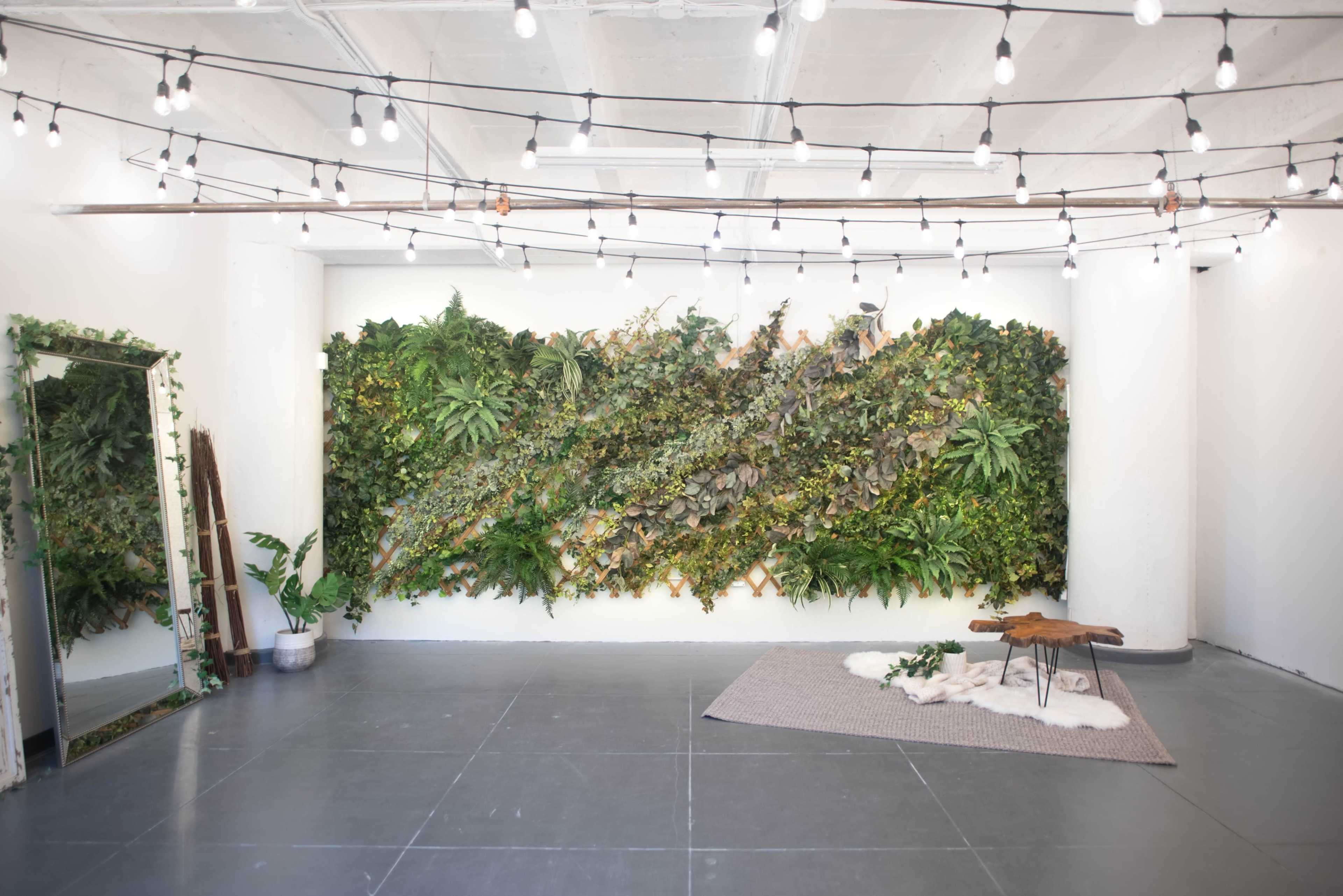 A modern studio space with a living plant wall, exposed light bulbs overhead, and a wooden table on a textured rug.