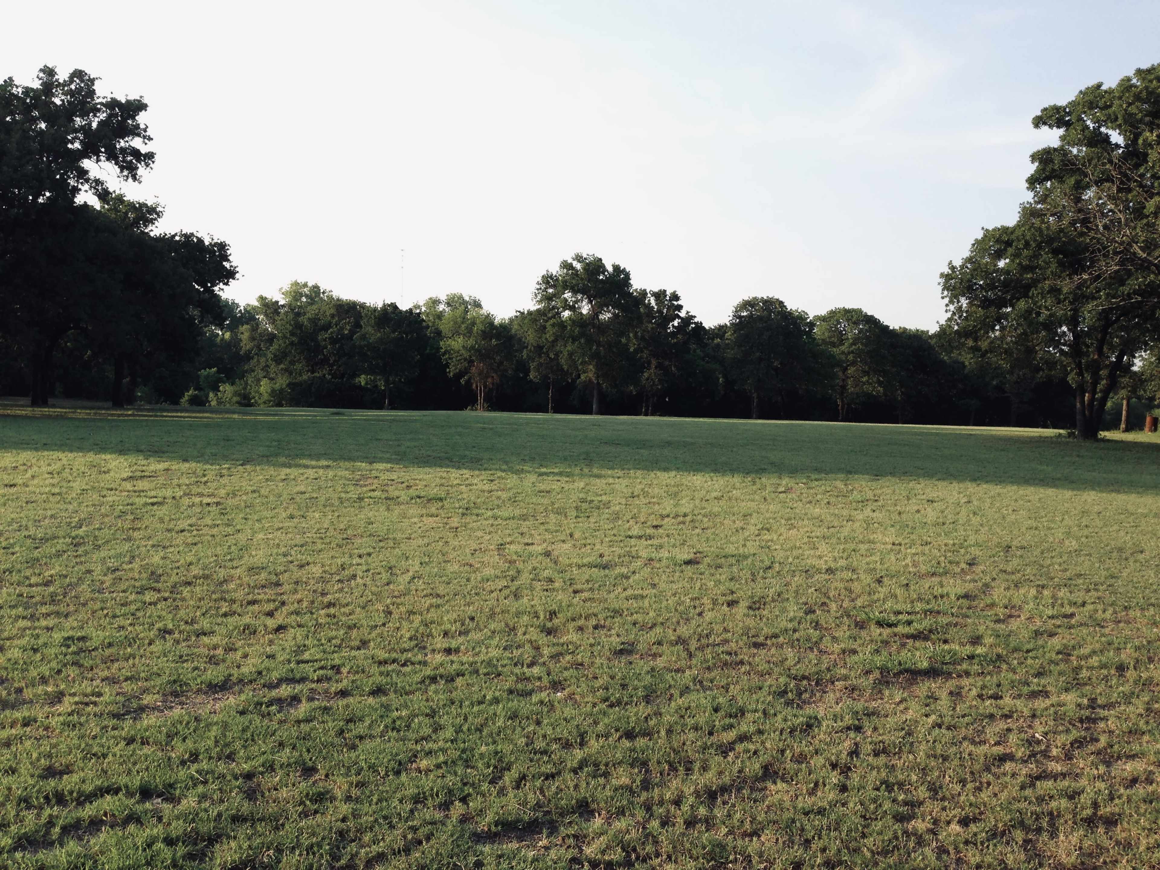 A grassy field bordered by trees under a clear sky.