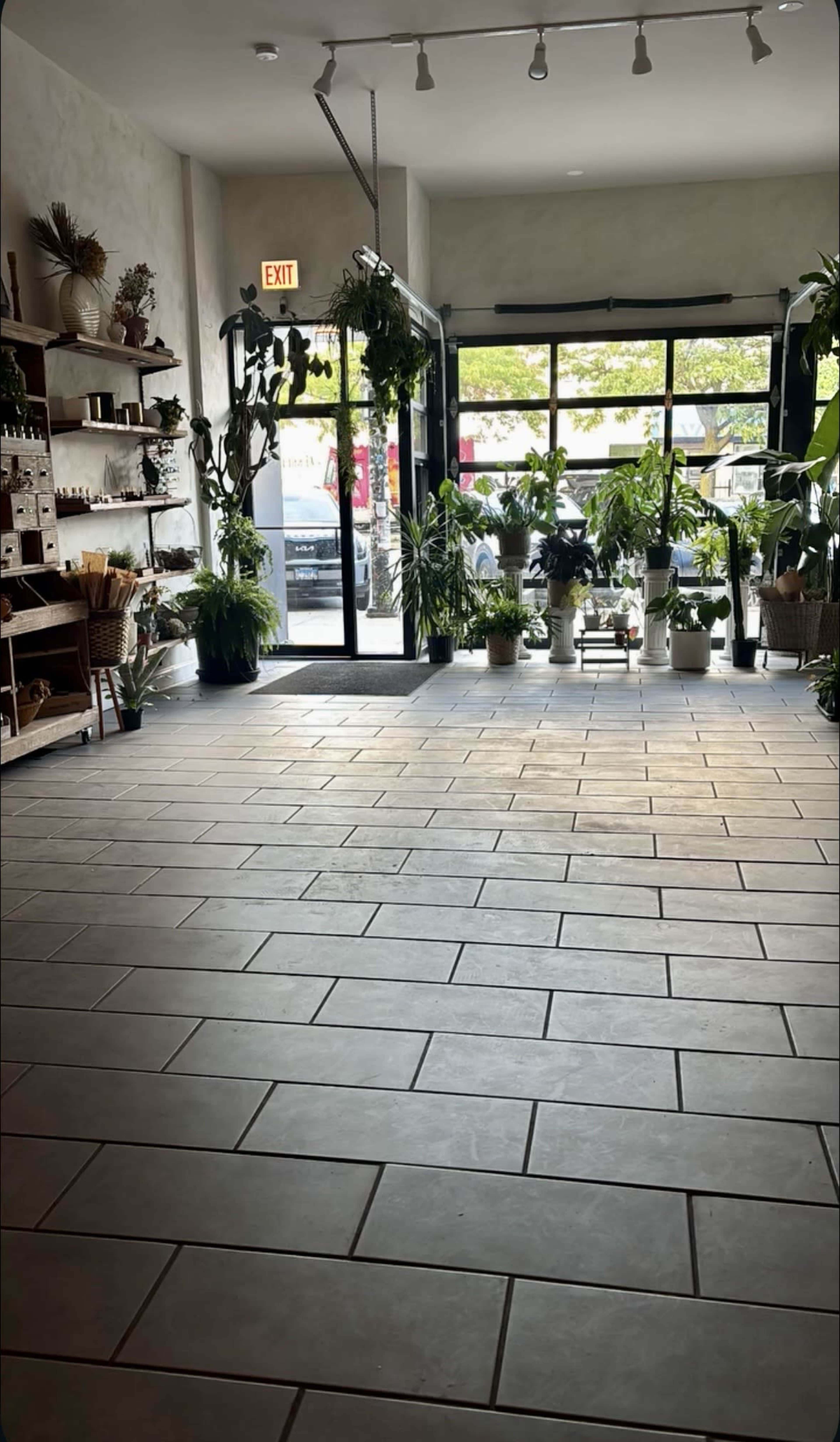 Semillas: A Soulful Space for Shoots, Events & Gatherings Image in Lower West Side, Chicago, IL