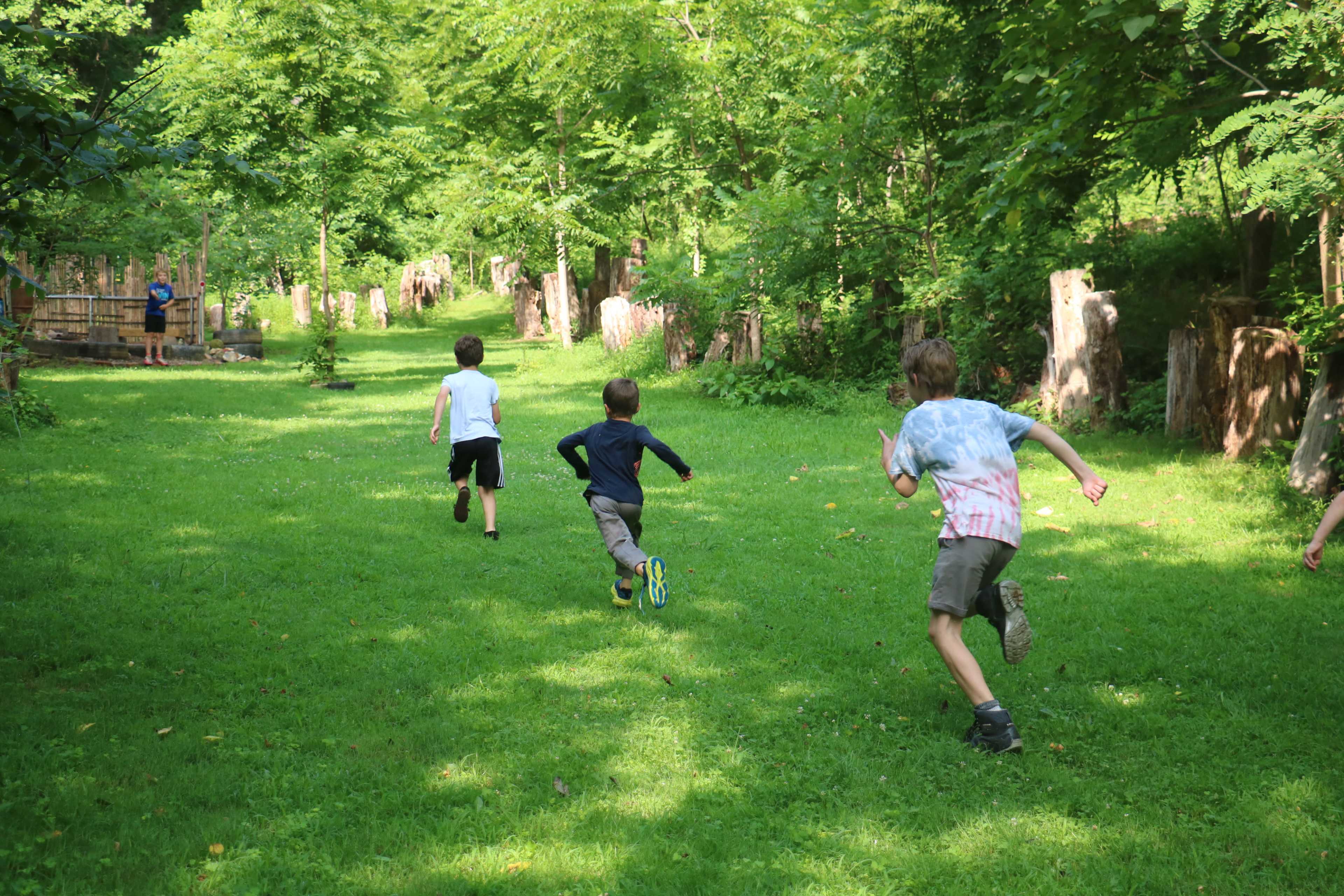 A group of four children runs across a grassy path lined with trees and wooden stumps.