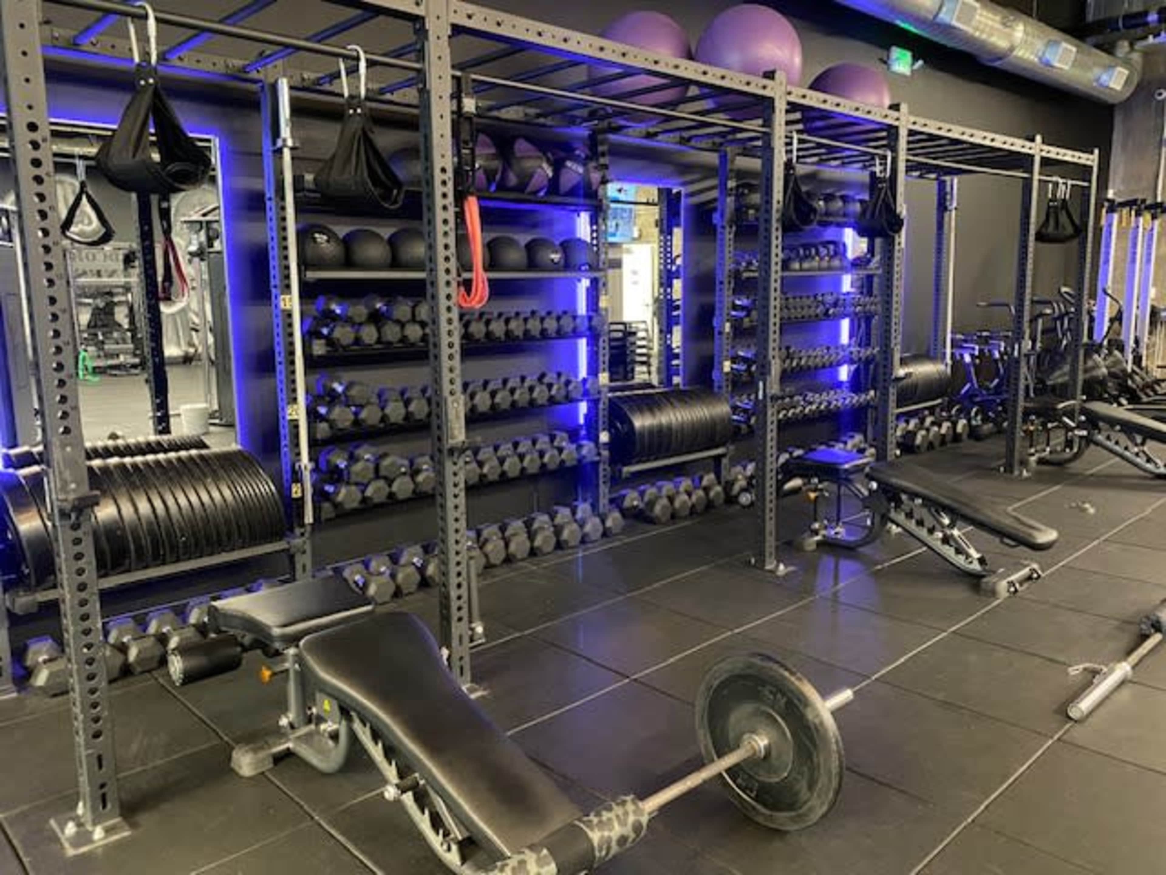 The image shows a well-equipped gym featuring weightlifting benches, free weights, and exercise accessories neatly organized on shelves.