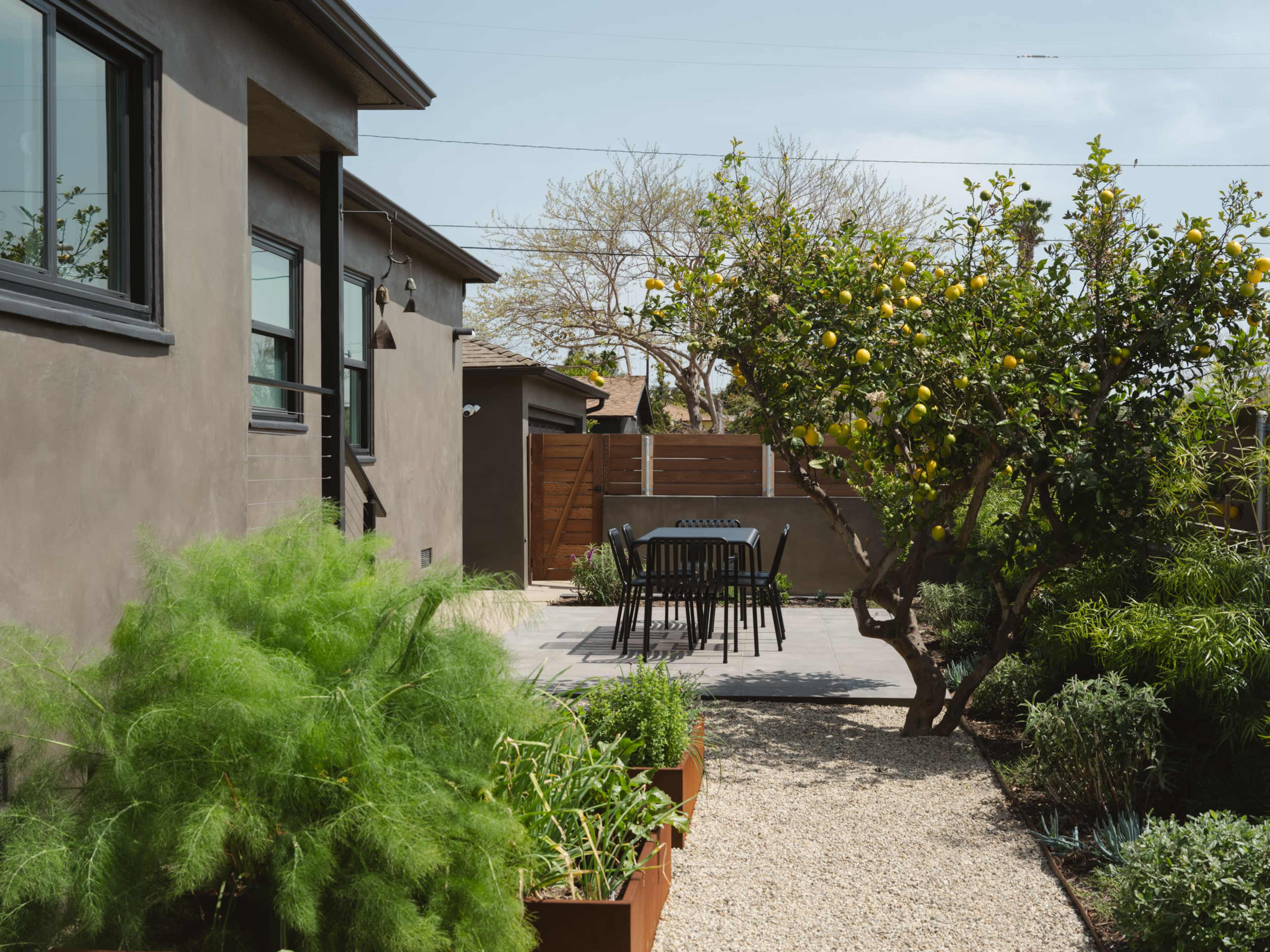 A backyard garden features a lemon tree, a gravel path, and a dining table with chairs set on a stone patio.