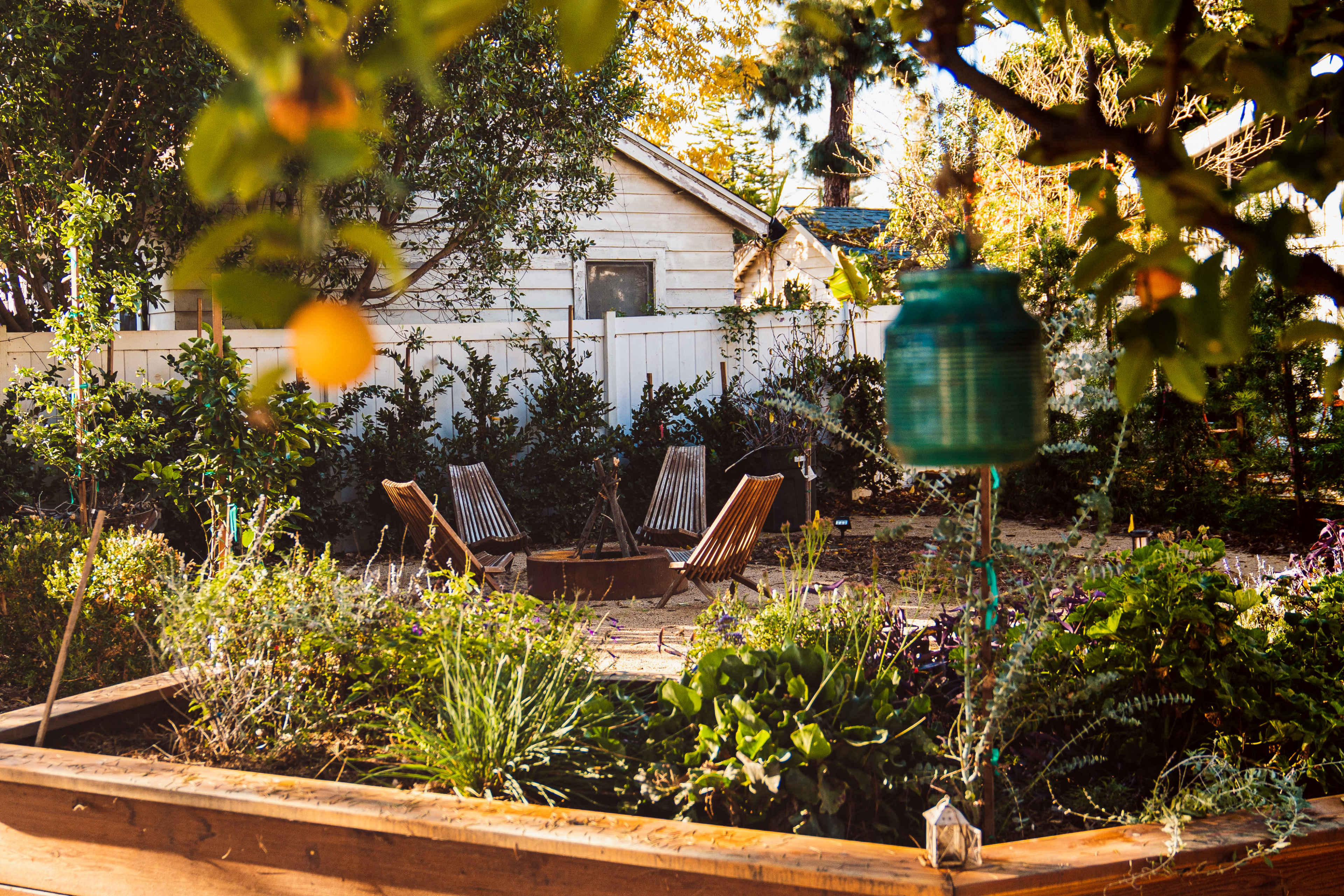A backyard garden features two wooden chairs surrounded by various plants and greenery, with a house and white fence visible in the background.