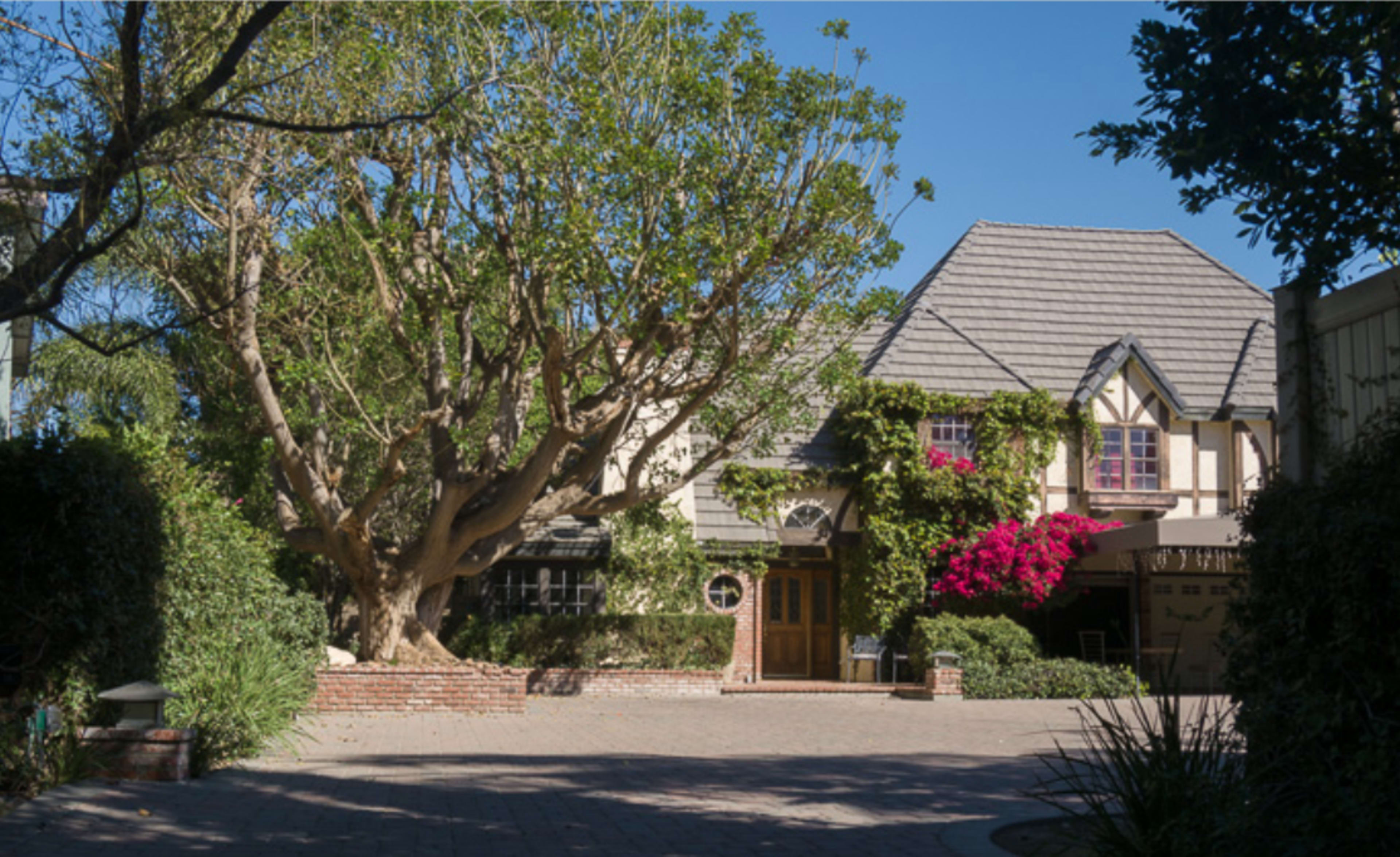 A large house with a steeply pitched roof surrounded by lush greenery and a prominent flowering tree in the front yard.