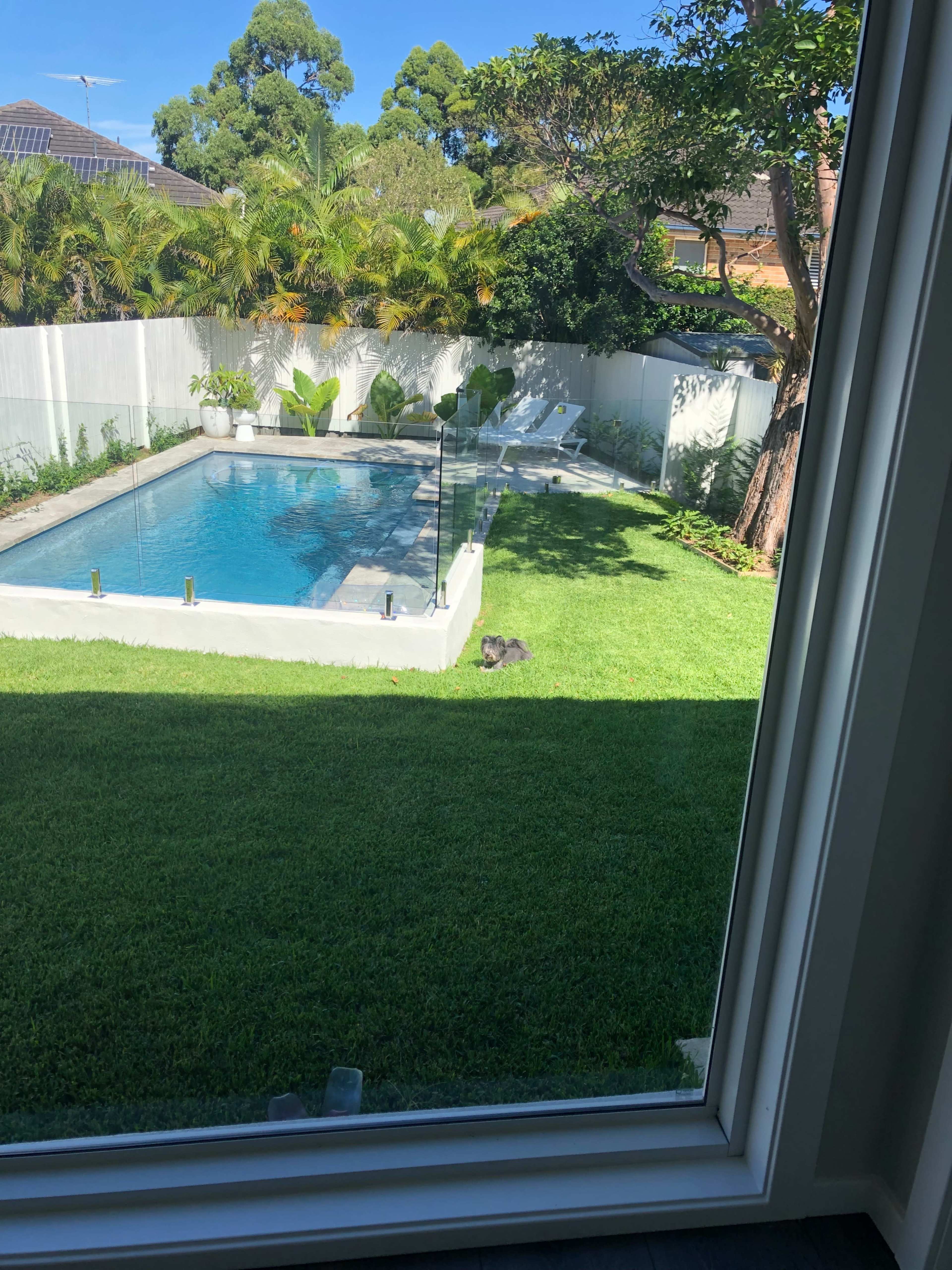 A clear view of a backyard features a swimming pool, deck chairs, and a well-maintained lawn surrounded by plants.
