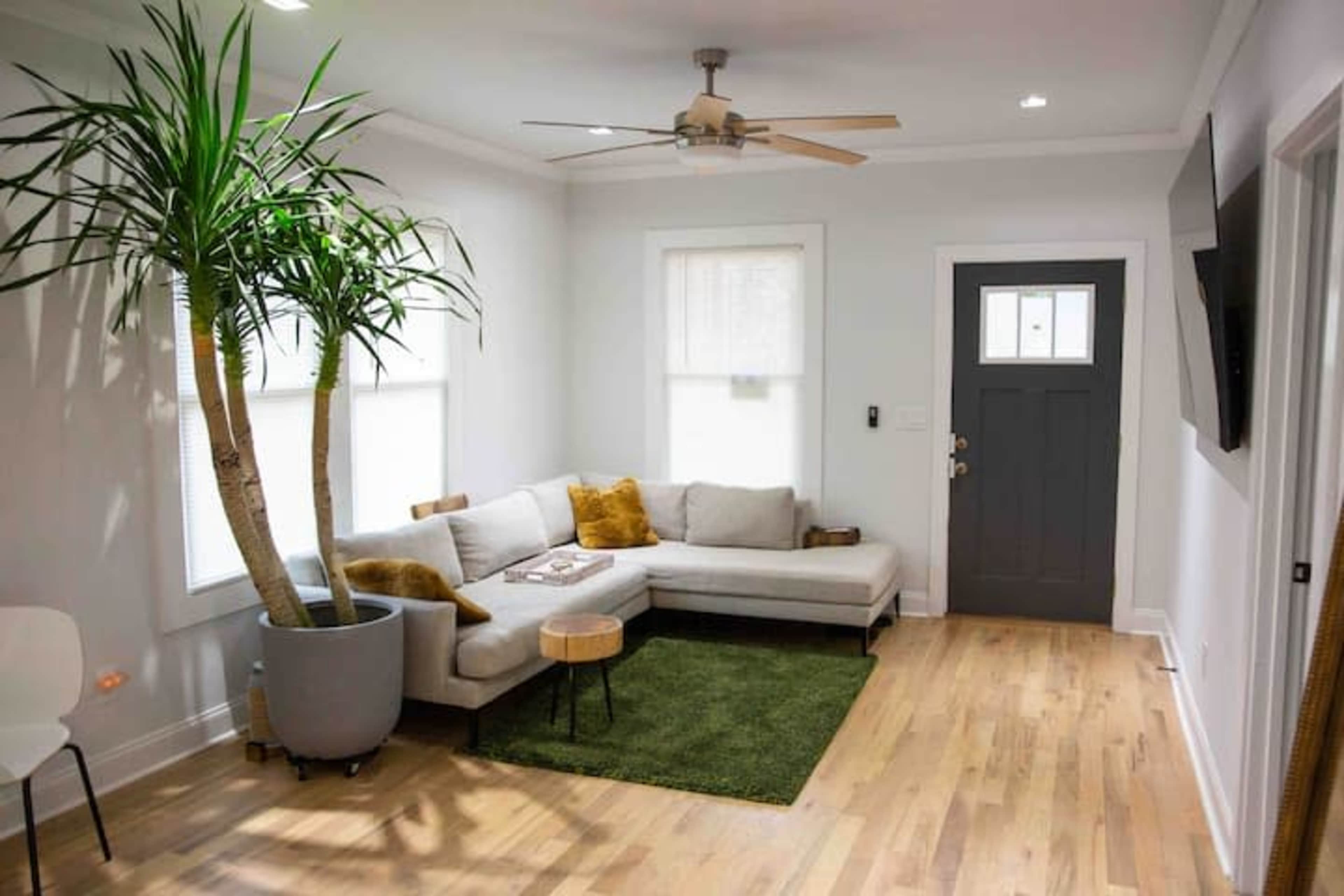 A modern living room features a sectional sofa, a small coffee table, a green area rug, and a large potted plant, with natural light coming through two windows.