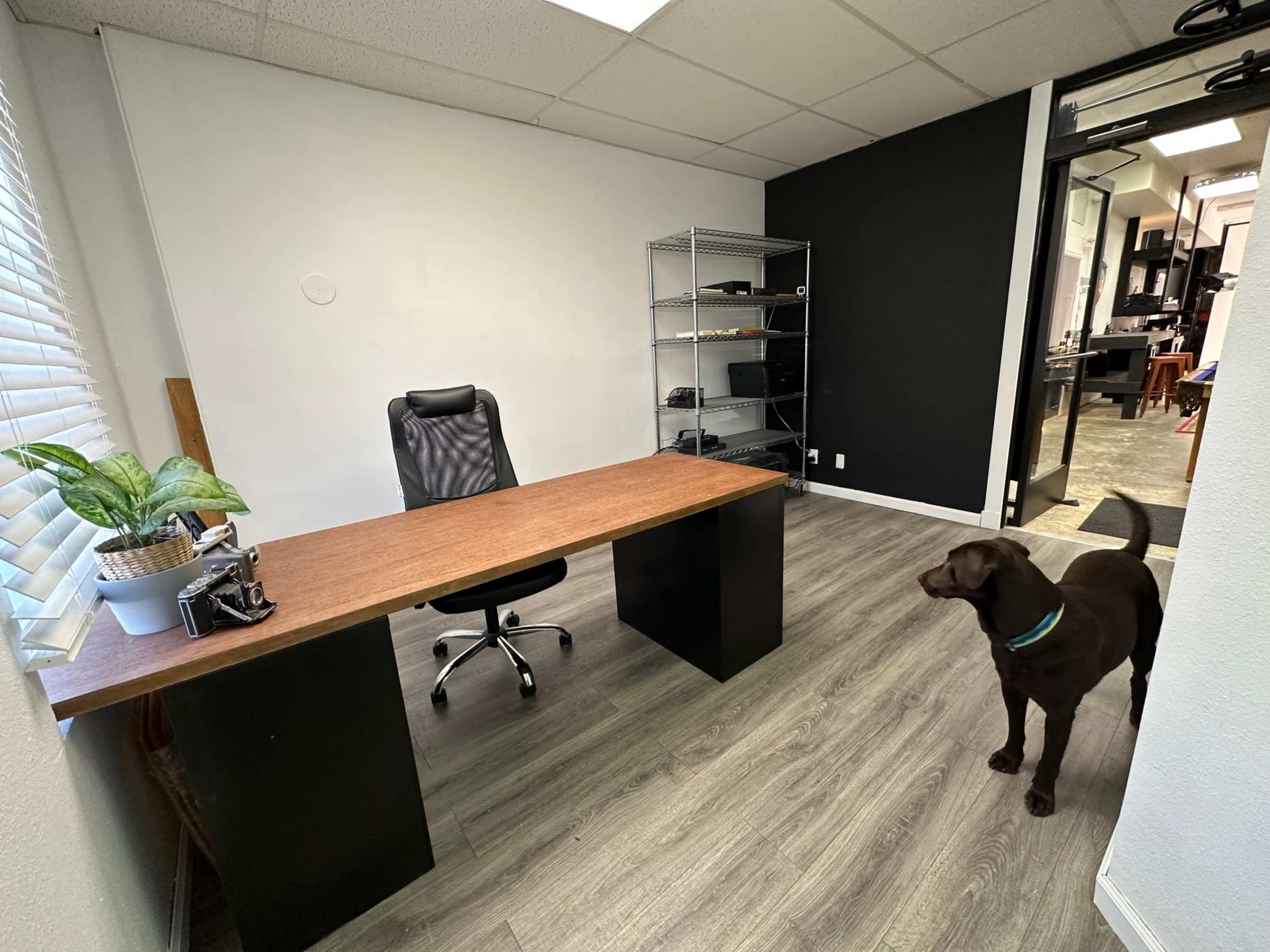 A modern office space with a wooden desk, an office chair, a shelf in the corner, and a dog standing nearby.