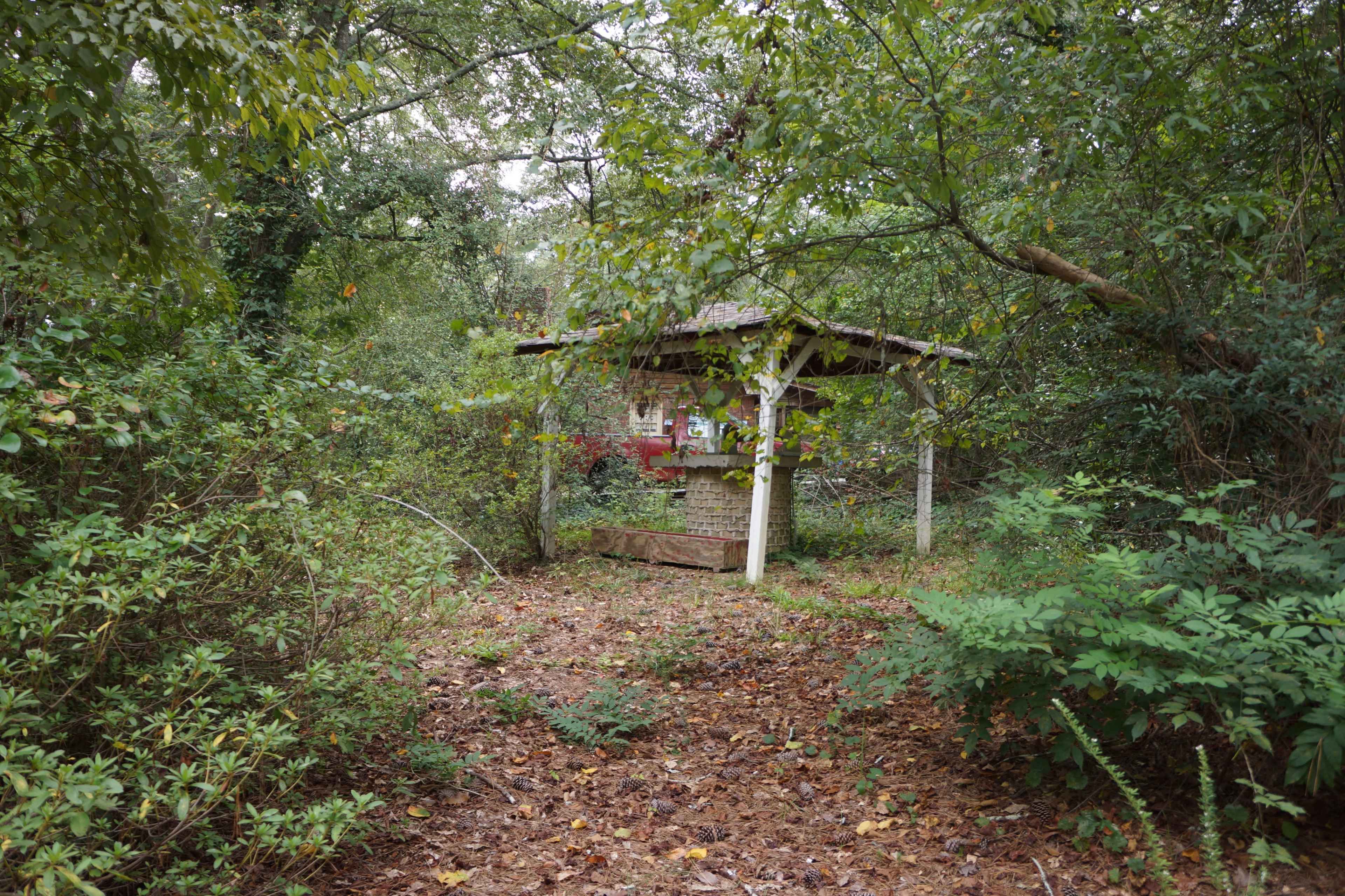 An overgrown path leads to a small shelter surrounded by dense foliage and scattered leaves.